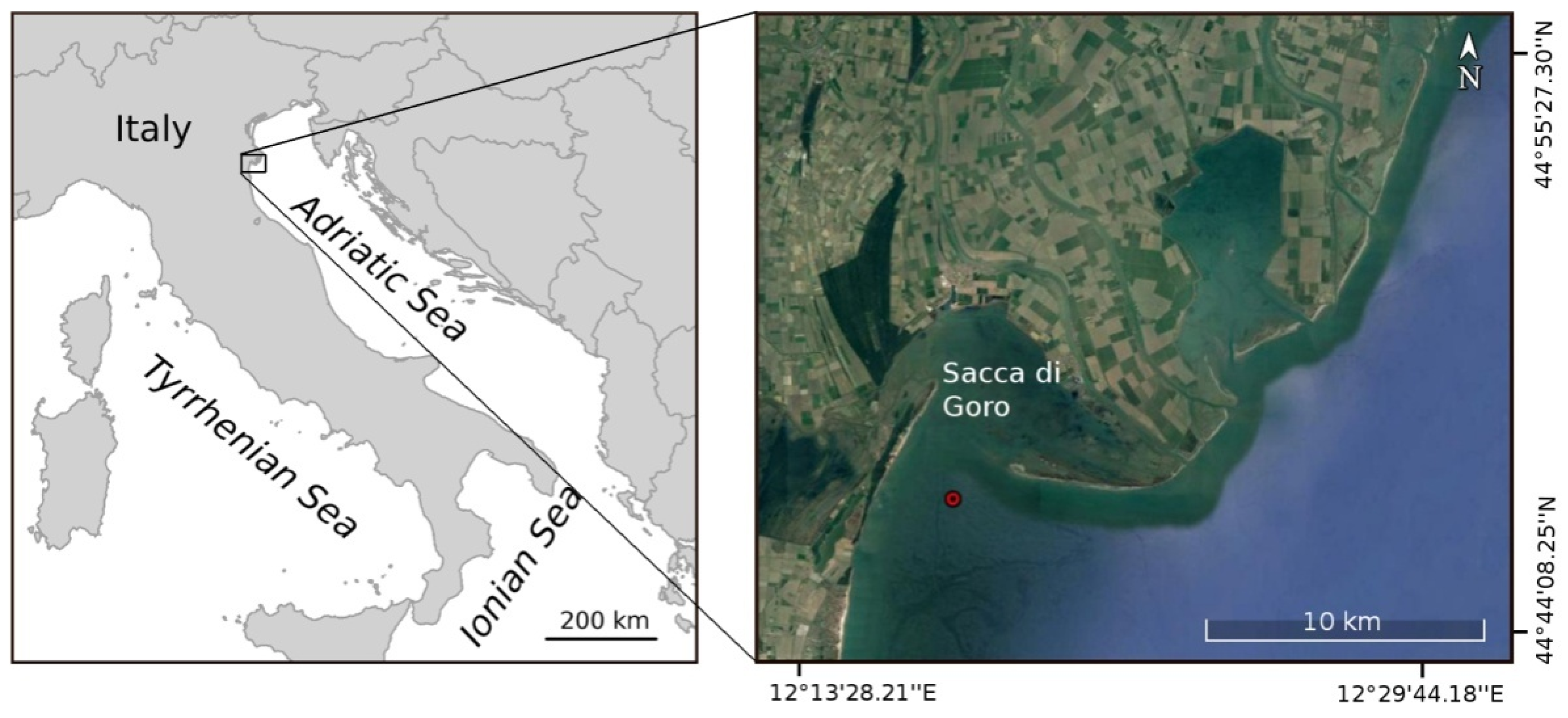 Diversity 13 00526 g001 Diversity 13 00526 g001