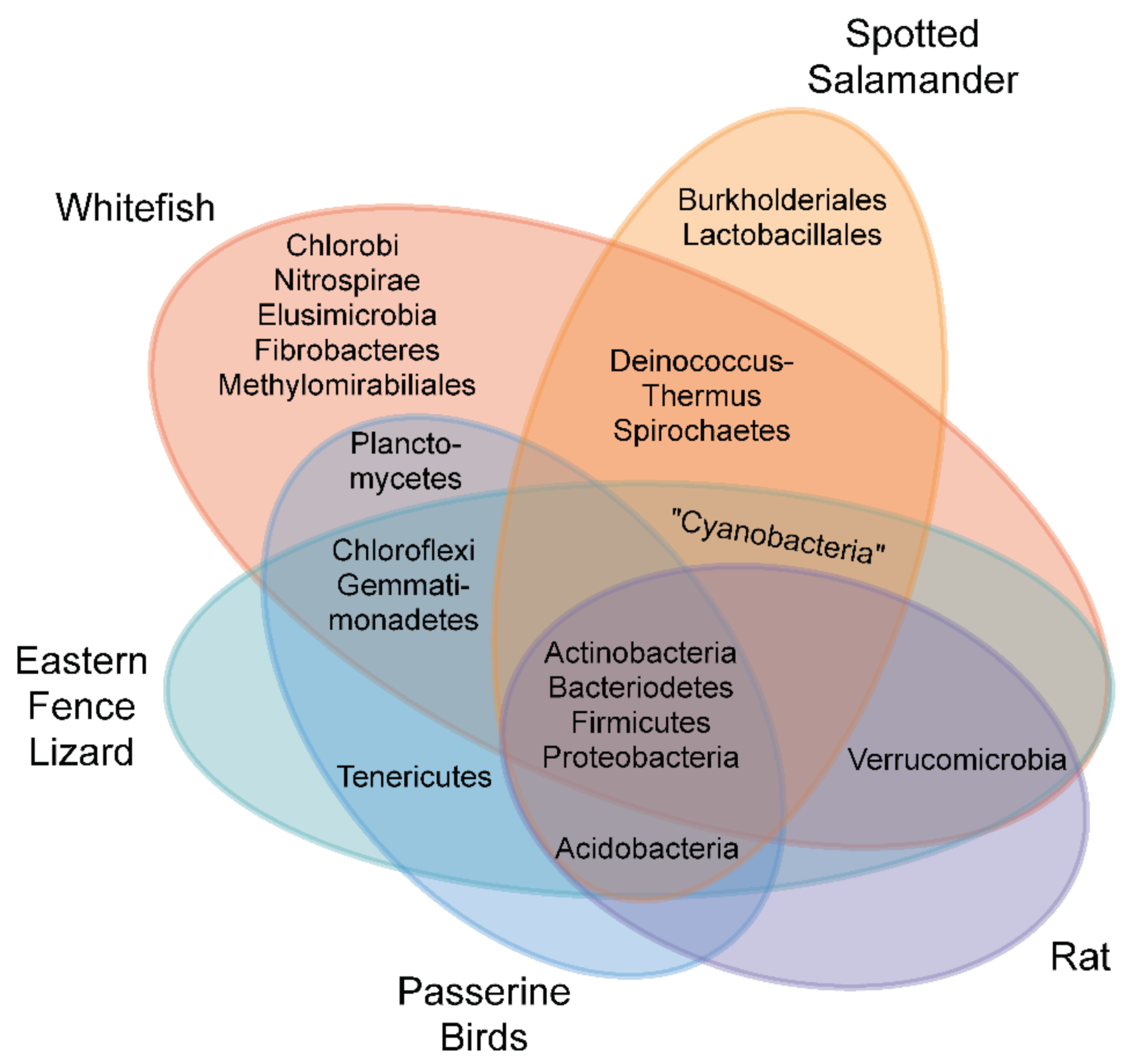 Diversity 13 00527 g002 Diversity 13 00527 g002