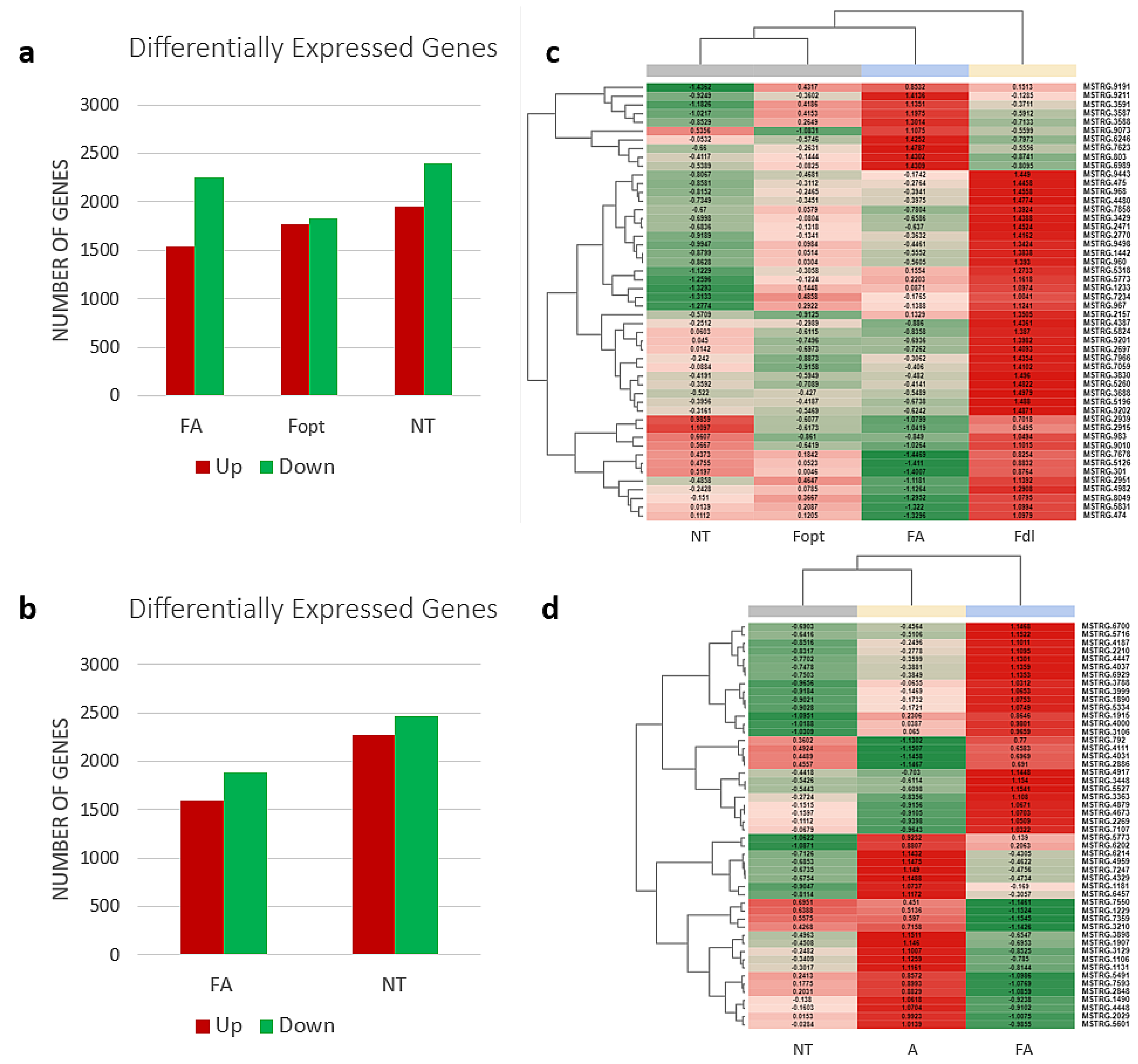 Diversity 13 00529 g002 Diversity 13 00529 g002