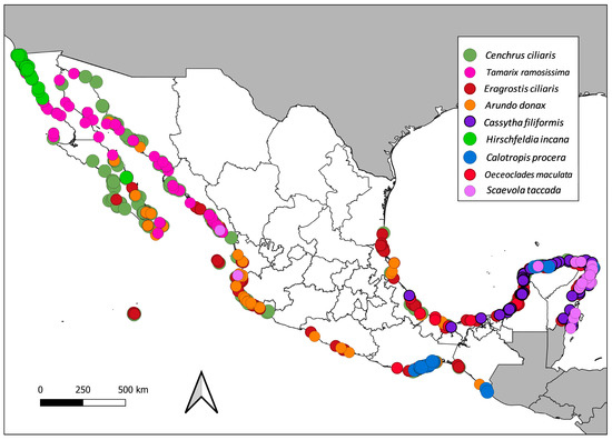 PDF) Mapping the spatial distribution of the invasive Mexican