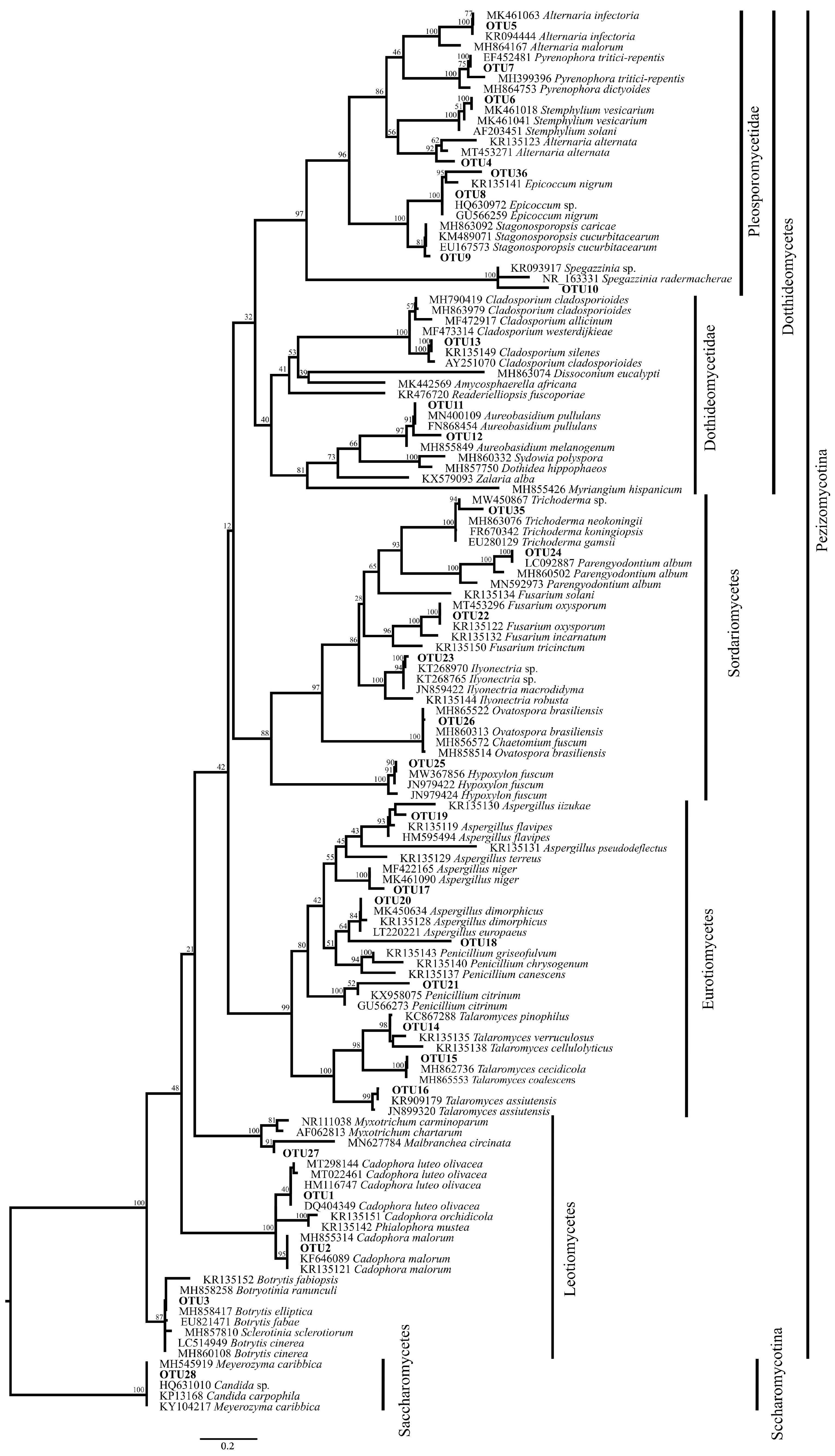 Diversity 13 00535 g001 550