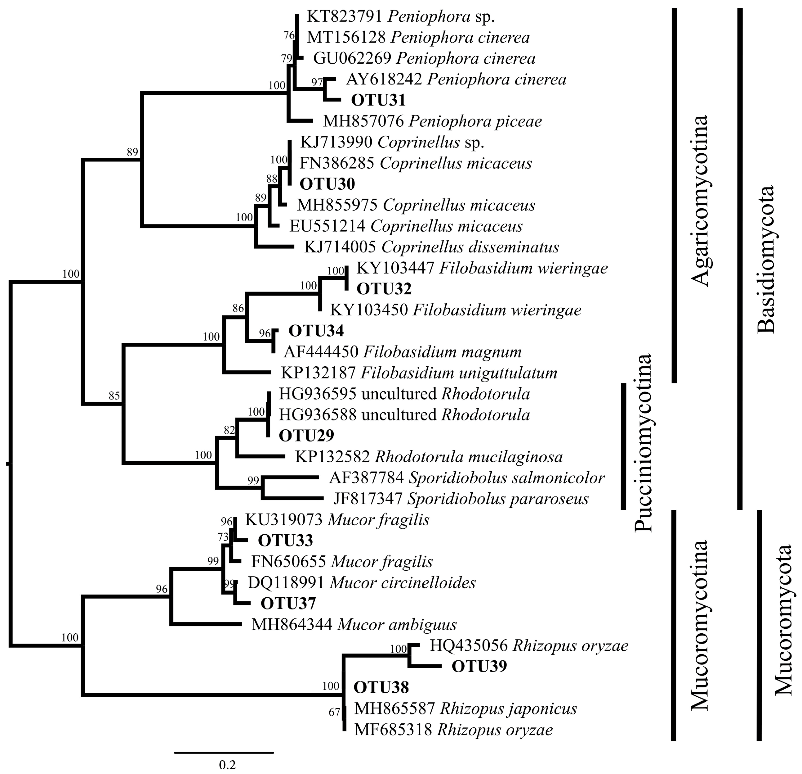Diversity 13 00535 g002 550