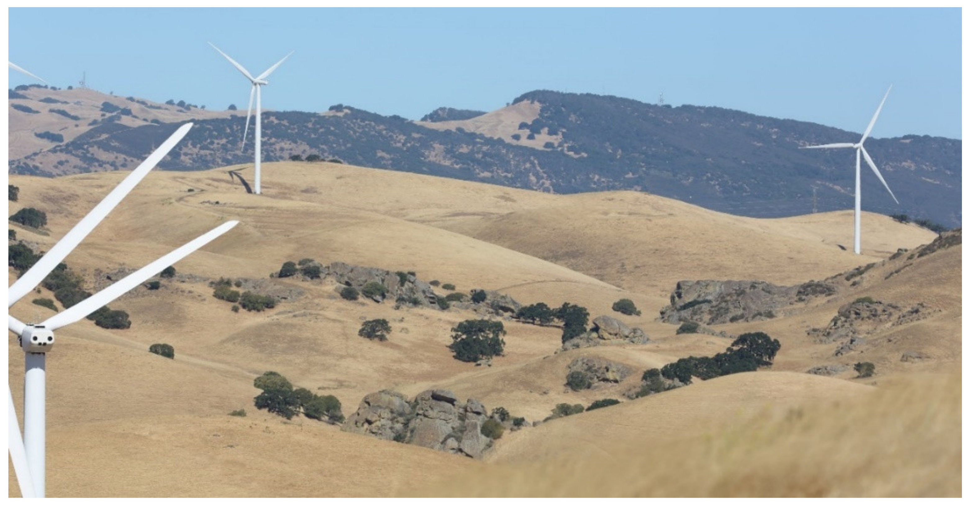 Diversity 13 00540 g001