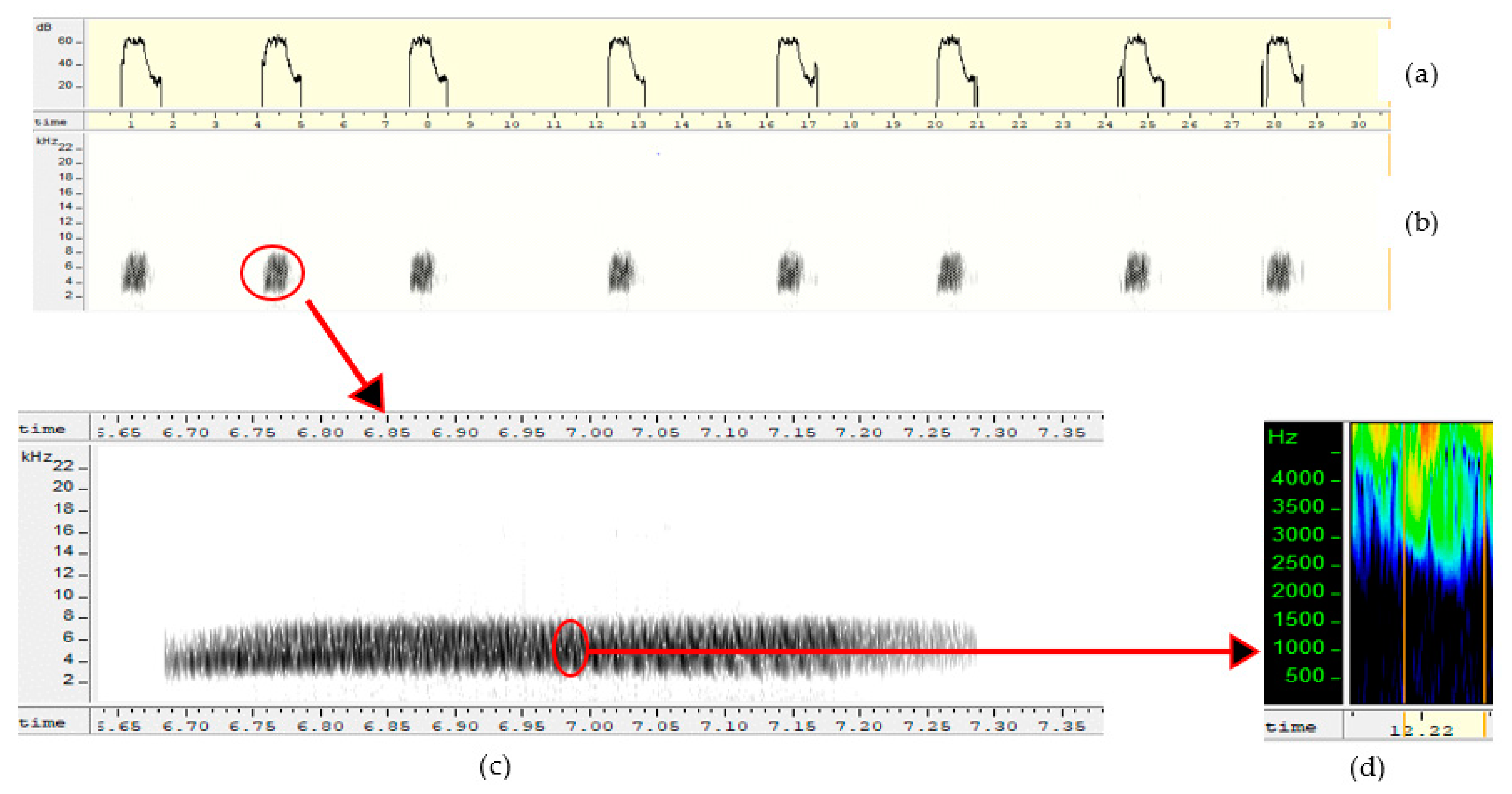 Diversity 13 00542 g003