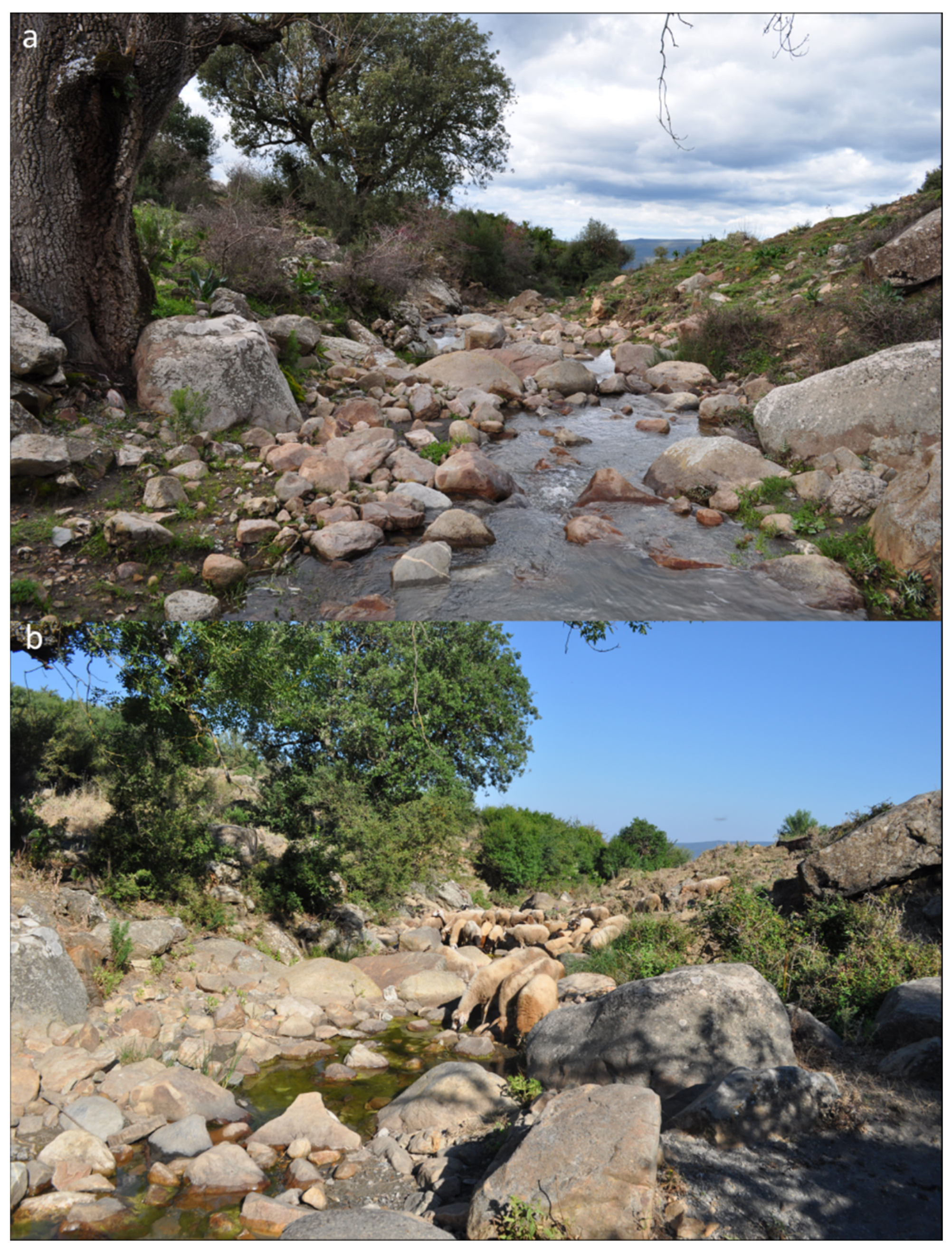 Diversity 13 00547 g002 Diversity 13 00547 g002