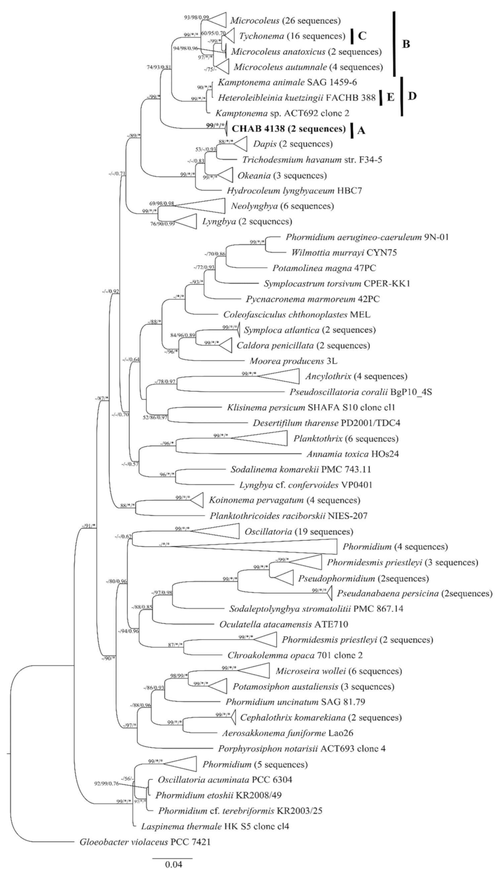 Diversity 13 00548 g003