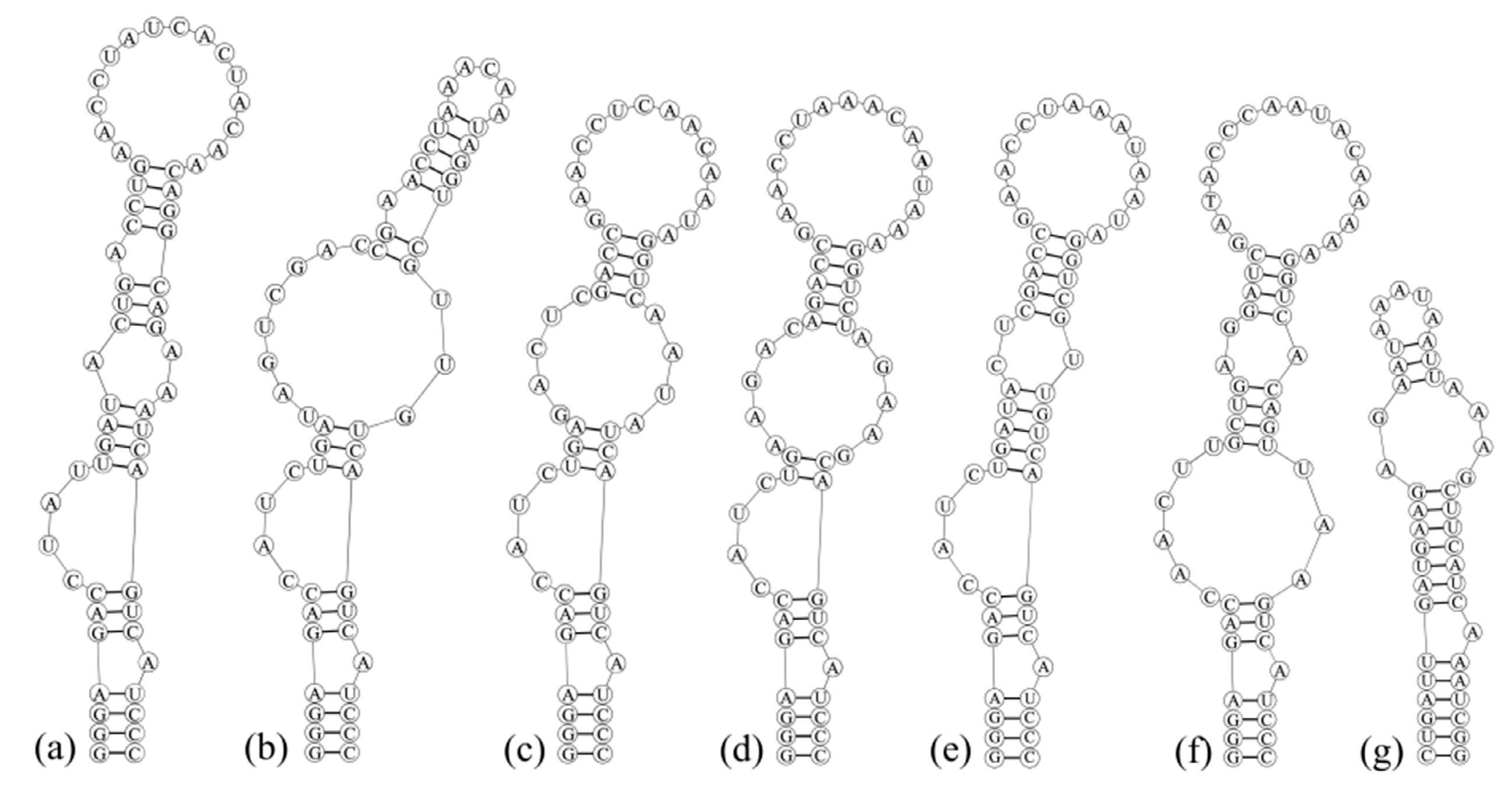 Diversity 13 00548 g004