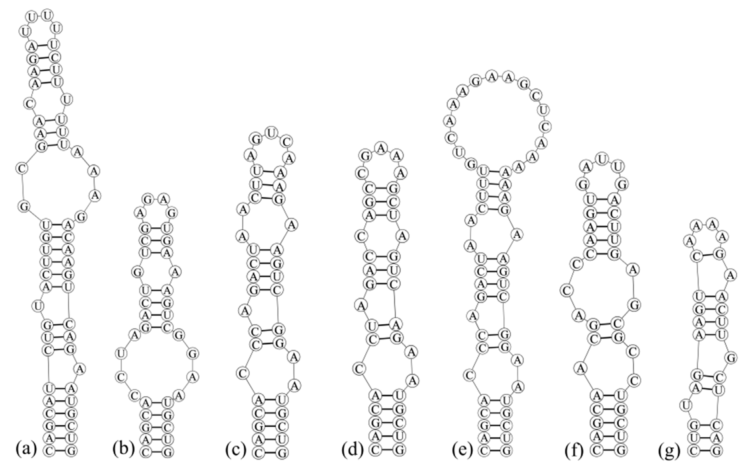Diversity 13 00548 g005