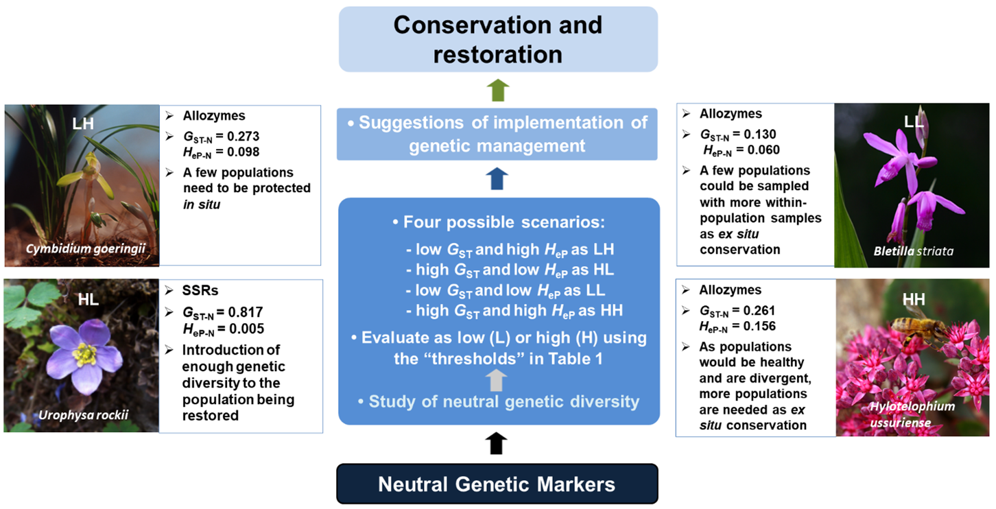 Diversity 13 00552 g001