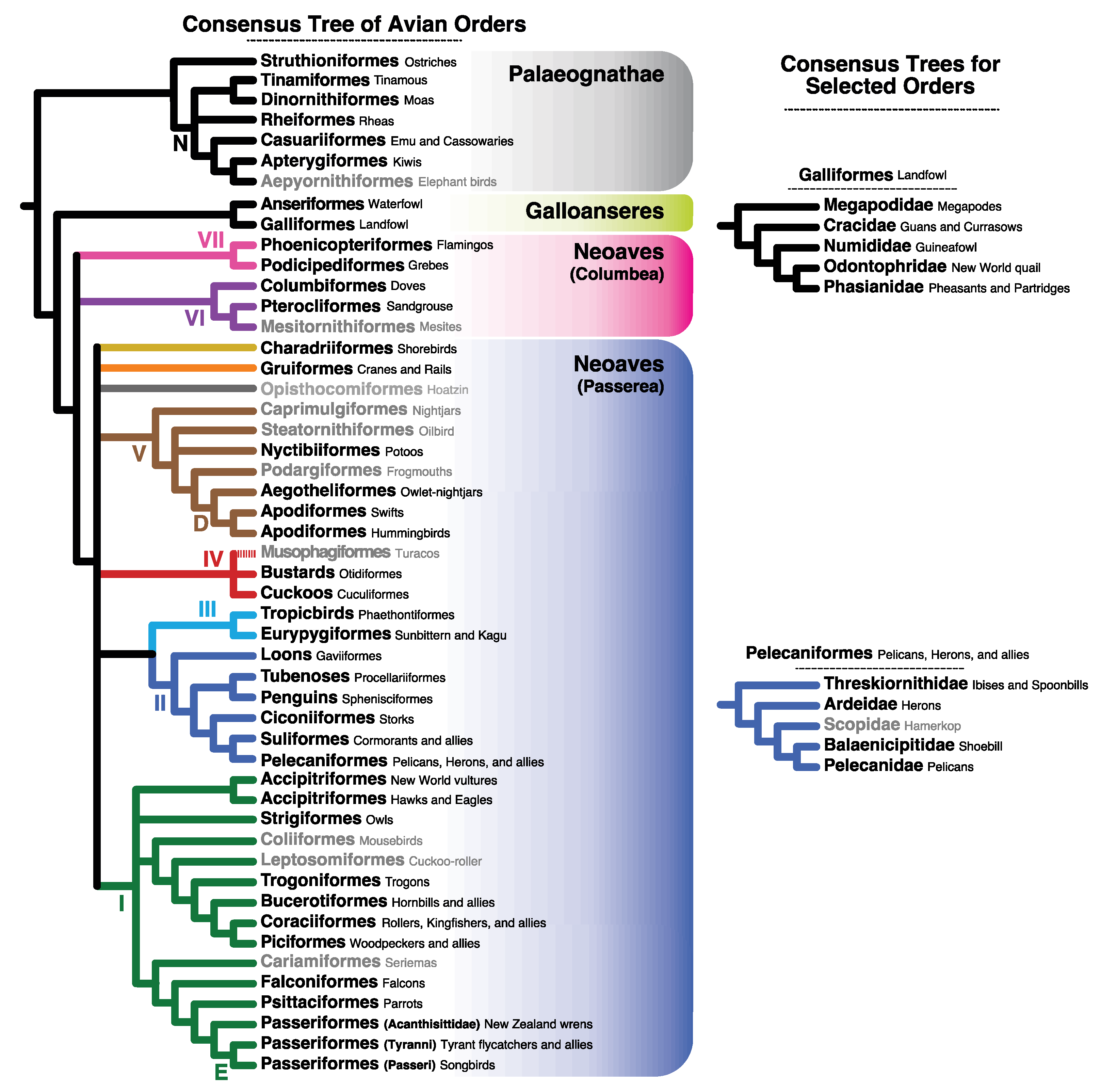 Diversity 13 00555 g001 Diversity 13 00555 g001
