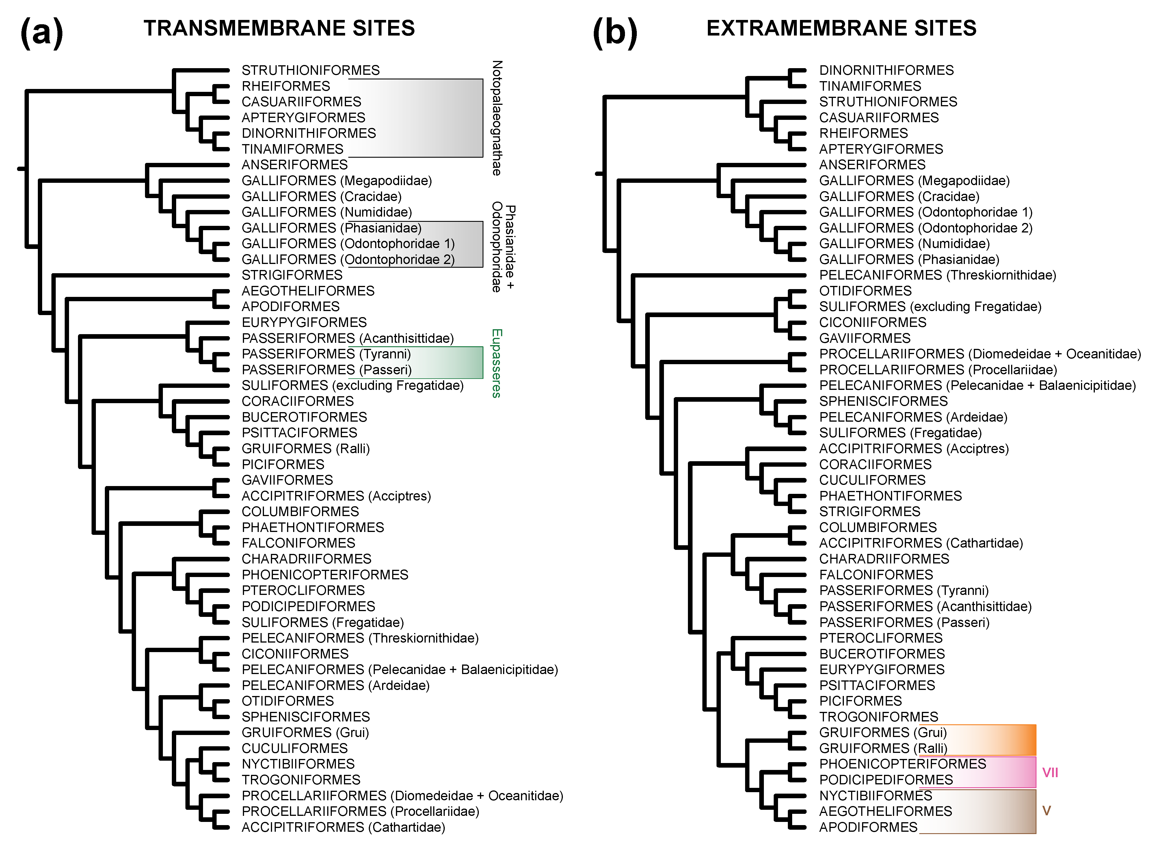 Diversity 13 00555 g004 Diversity 13 00555 g004