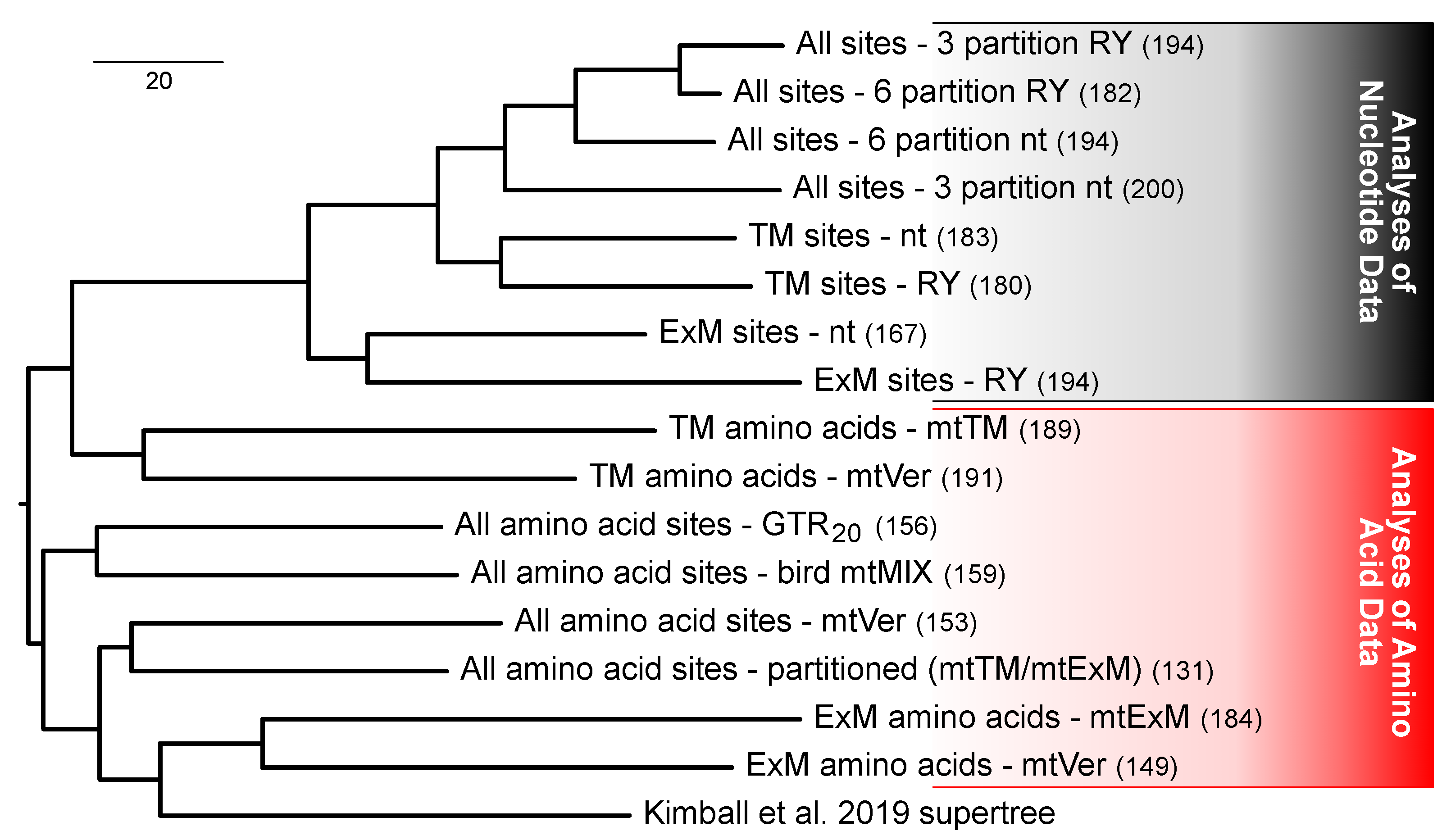 Diversity 13 00555 g006 Diversity 13 00555 g006