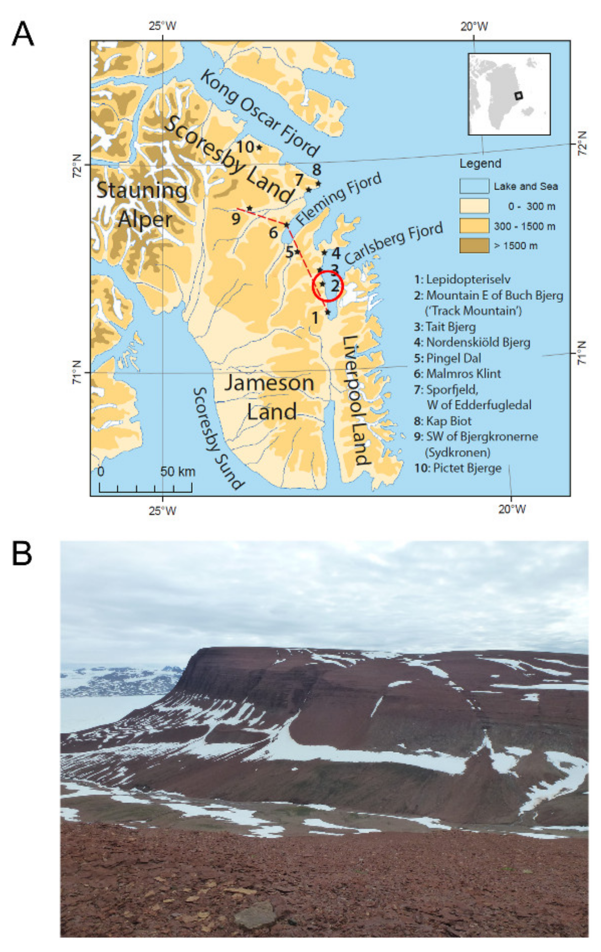 Diversity 13 00561 g001
