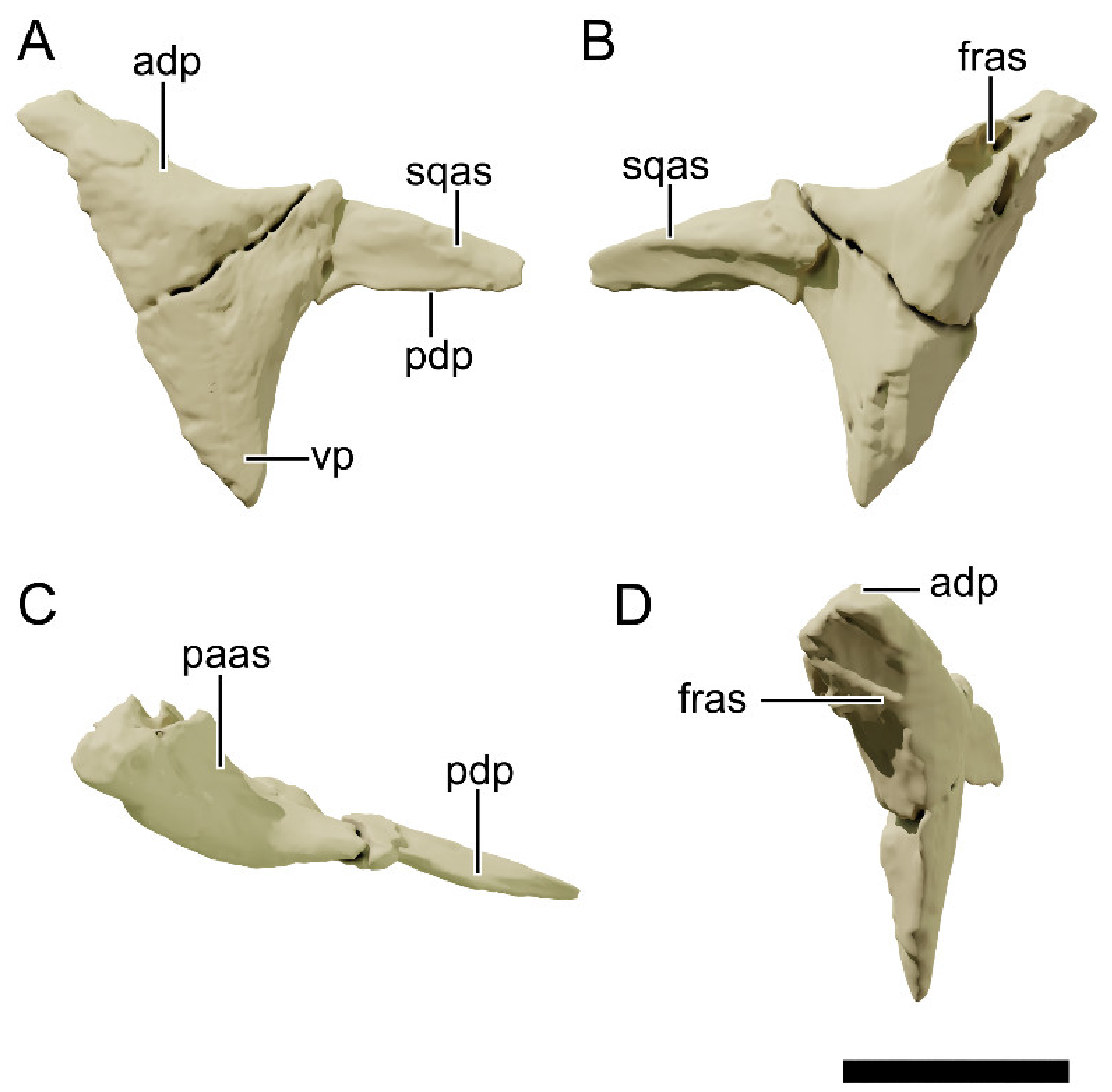 Diversity 13 00561 g014