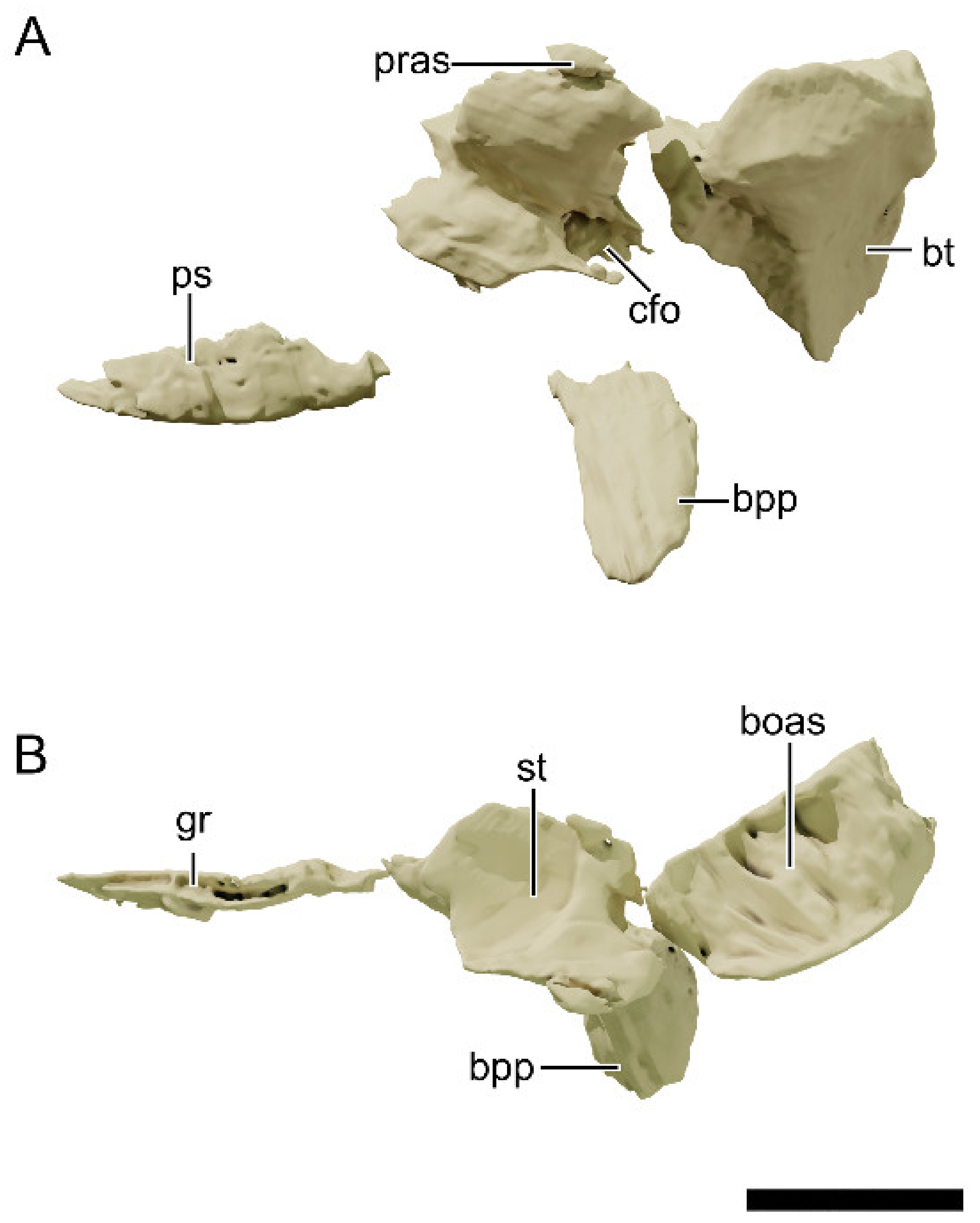 Diversity 13 00561 g023