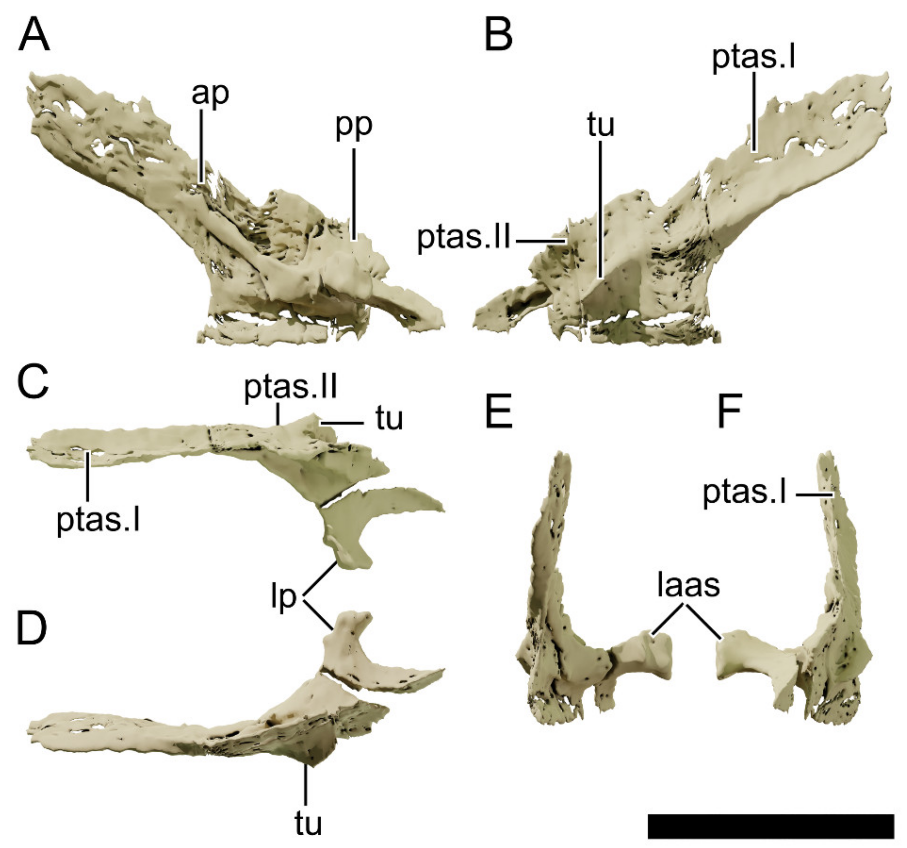 Diversity 13 00561 g029