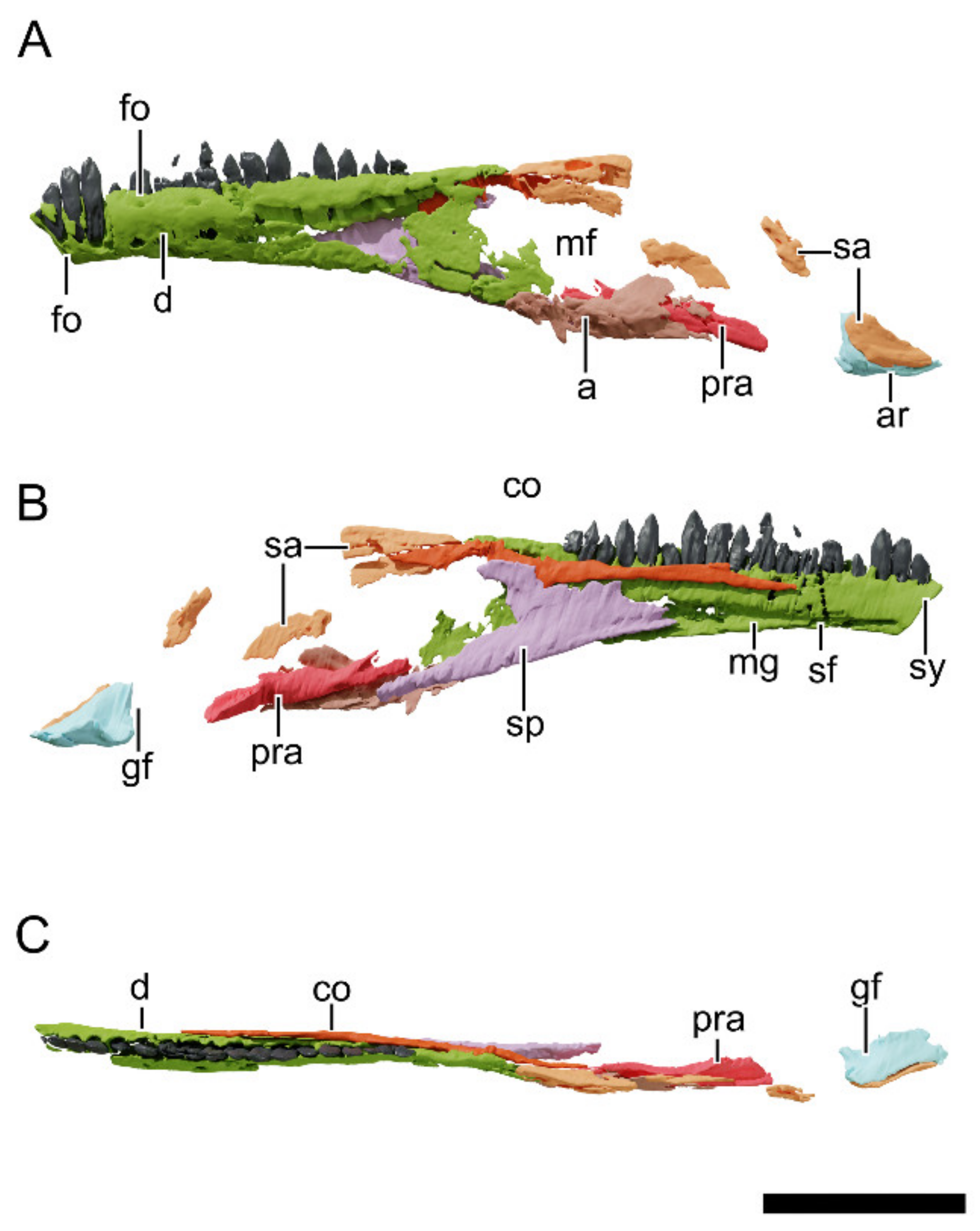 Diversity 13 00561 g030