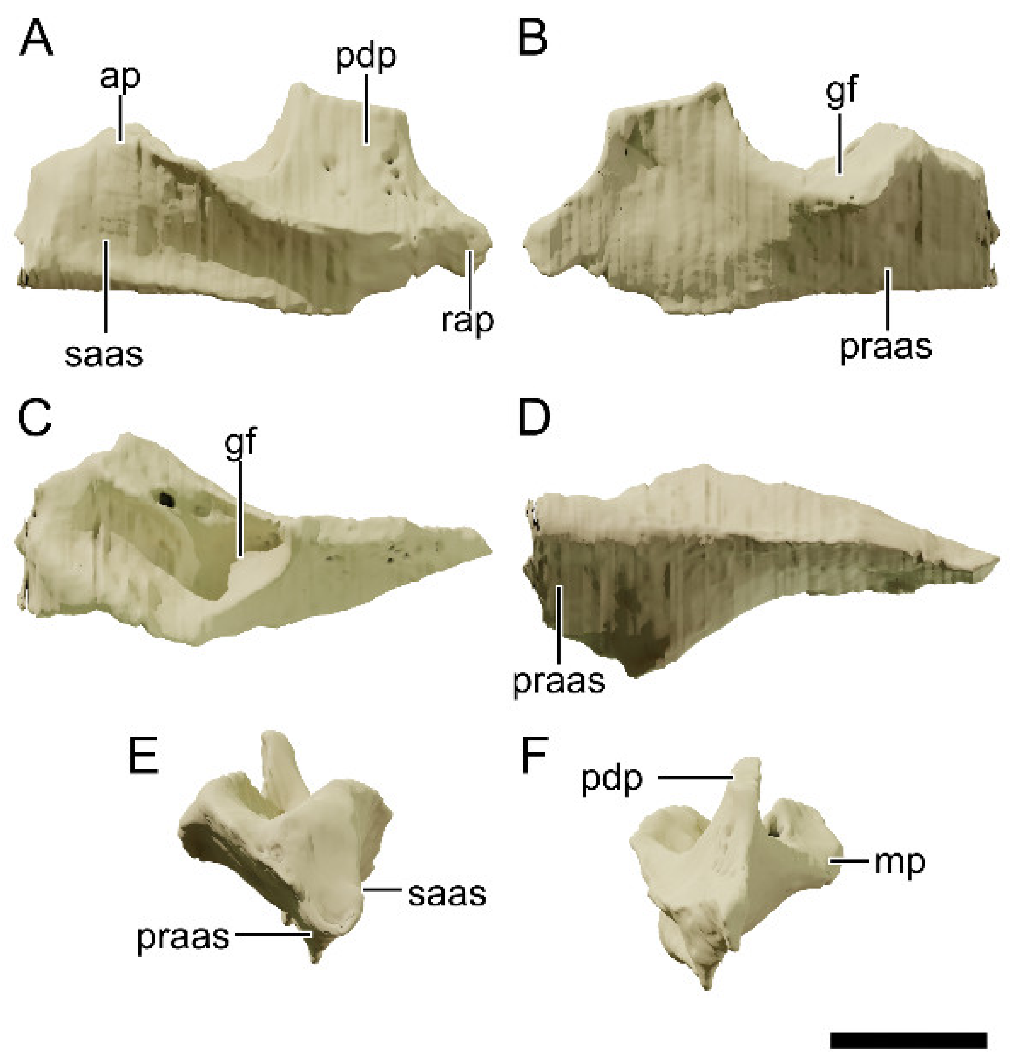 Diversity 13 00561 g032
