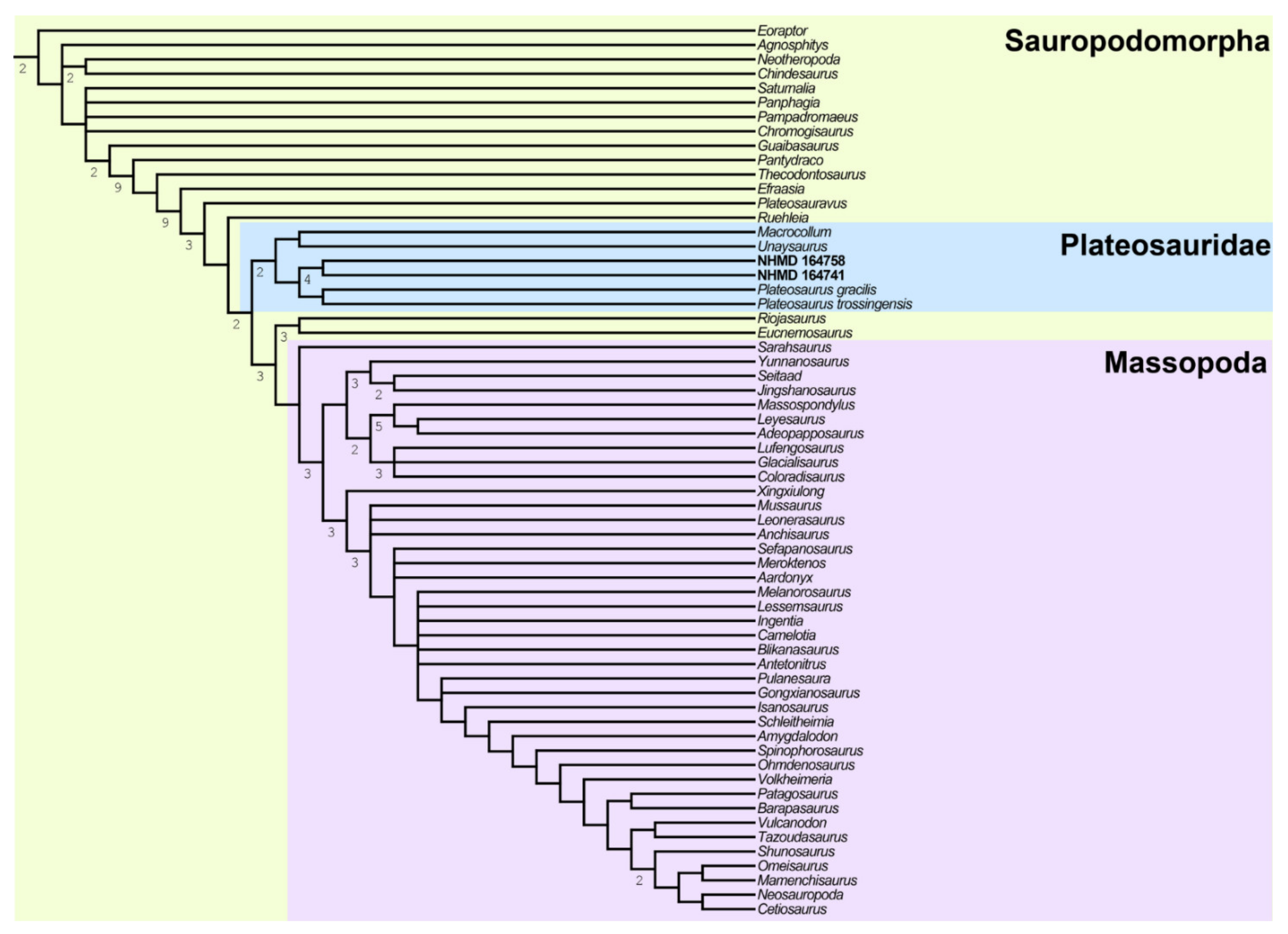 Diversity 13 00561 g036