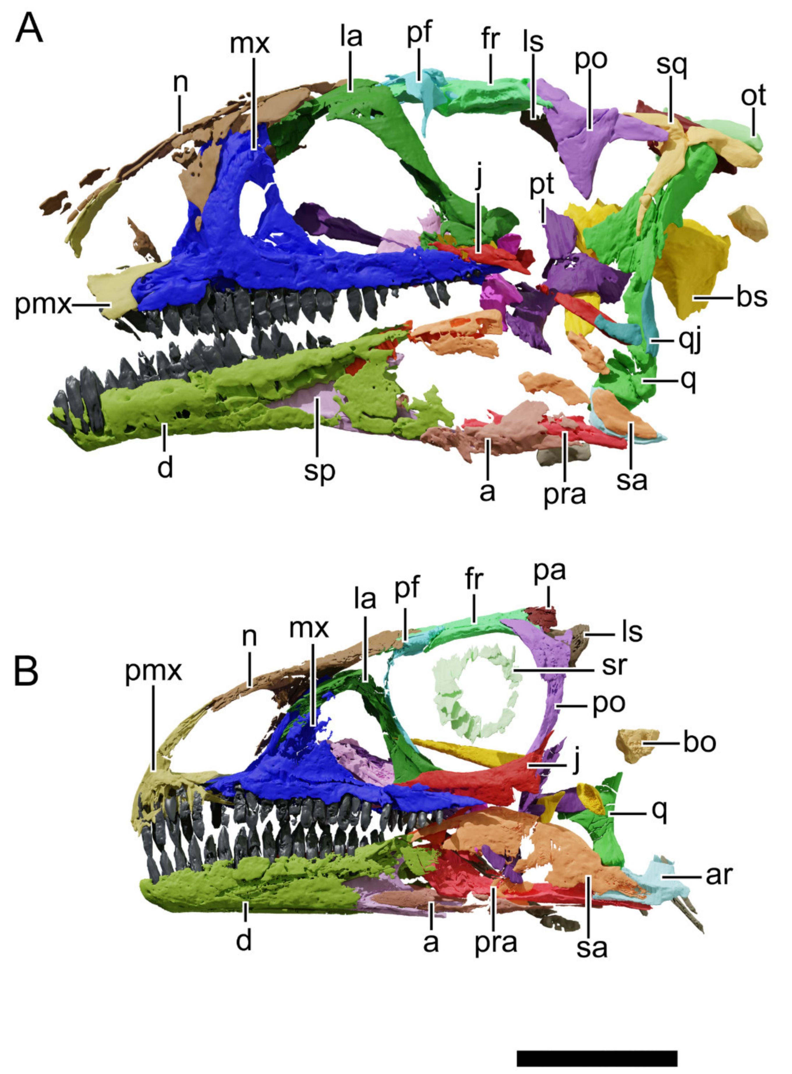 Diversity 13 00561 g037