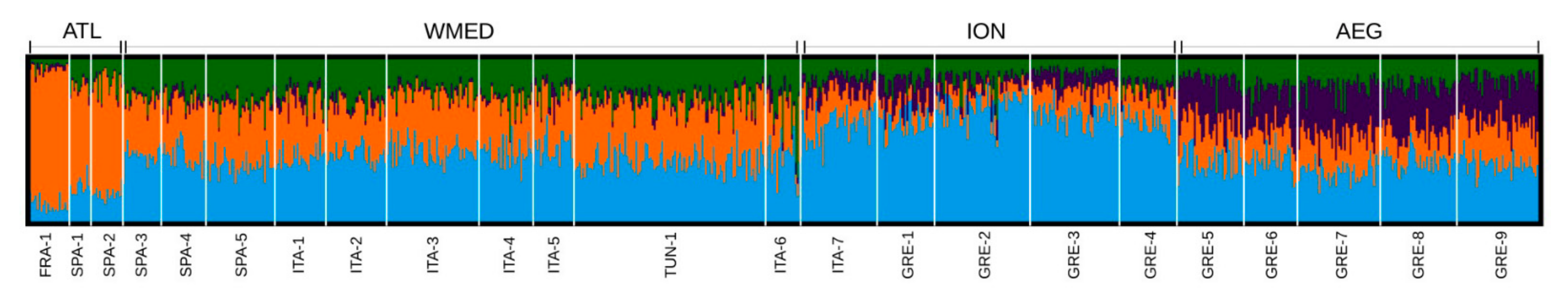 Diversity 13 00563 g001