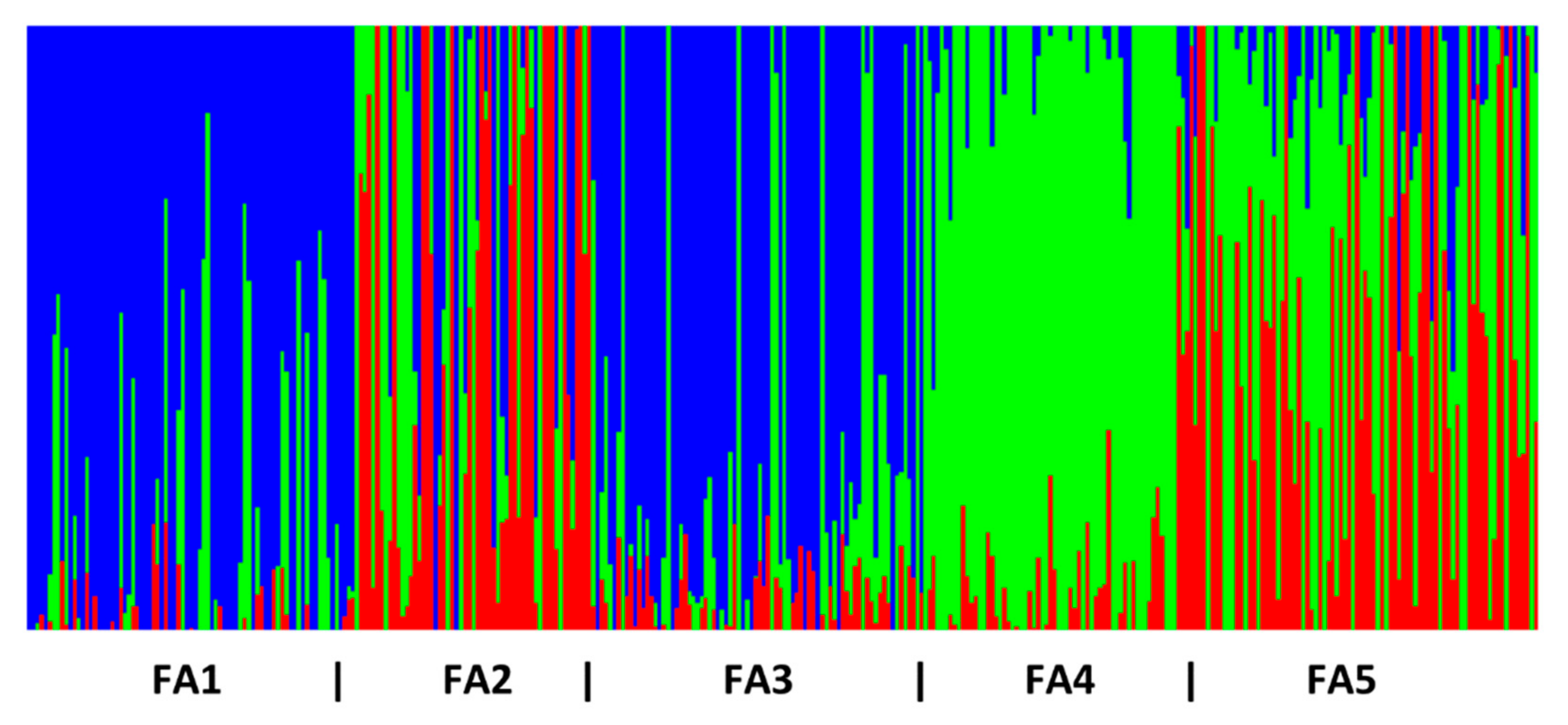Diversity 13 00563 g002