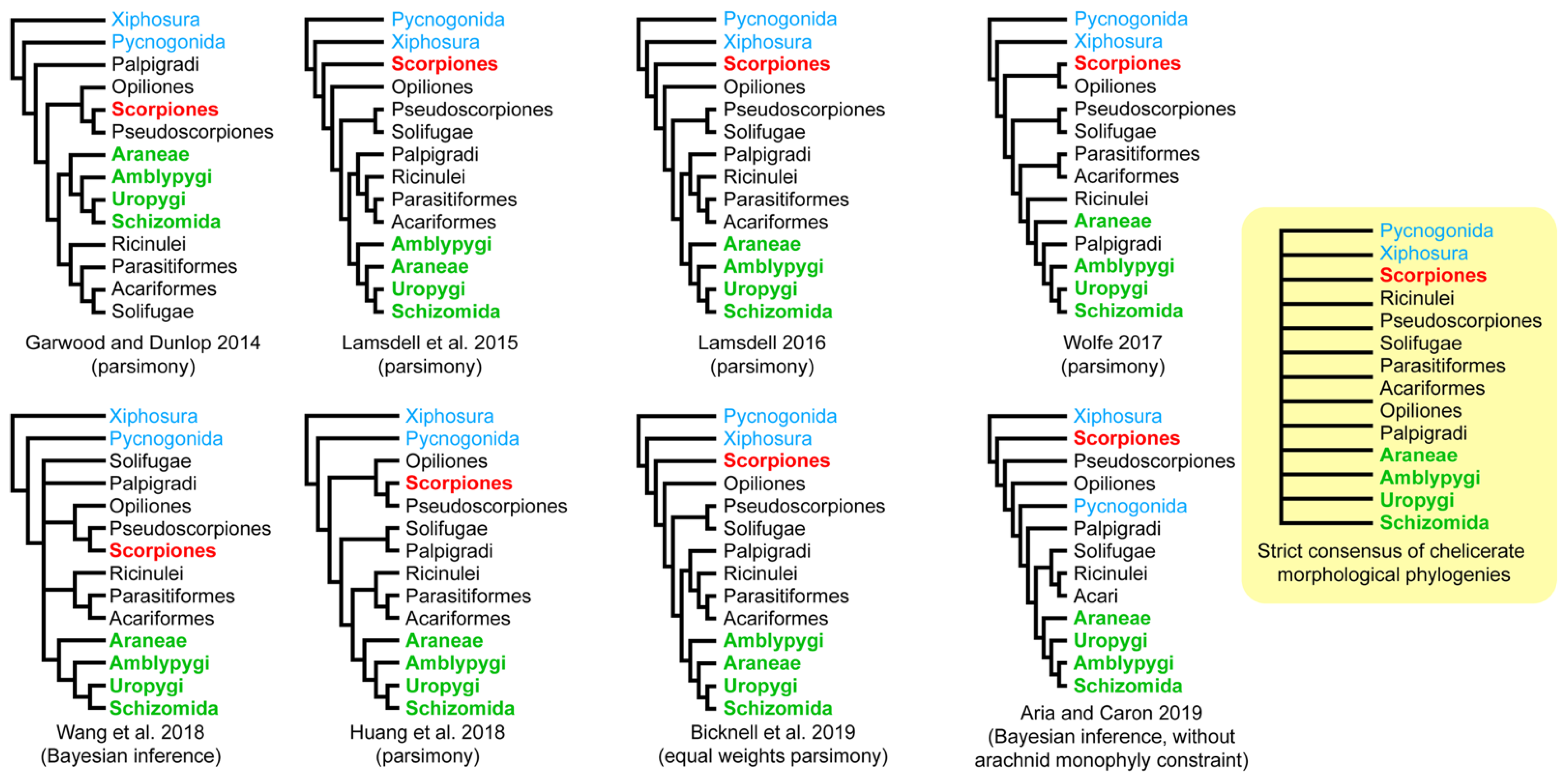 Diversity 13 00568 g001