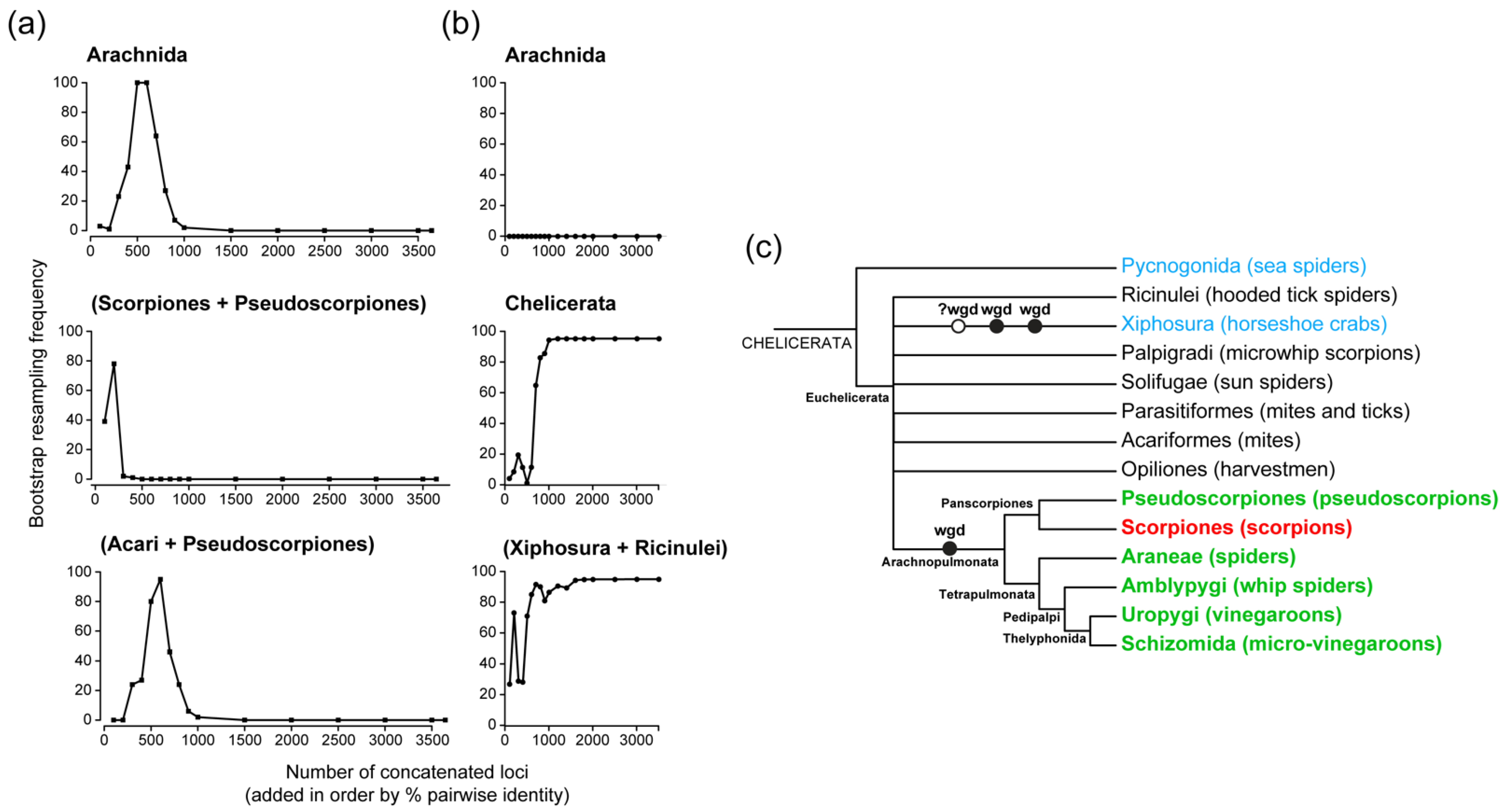 Diversity 13 00568 g002