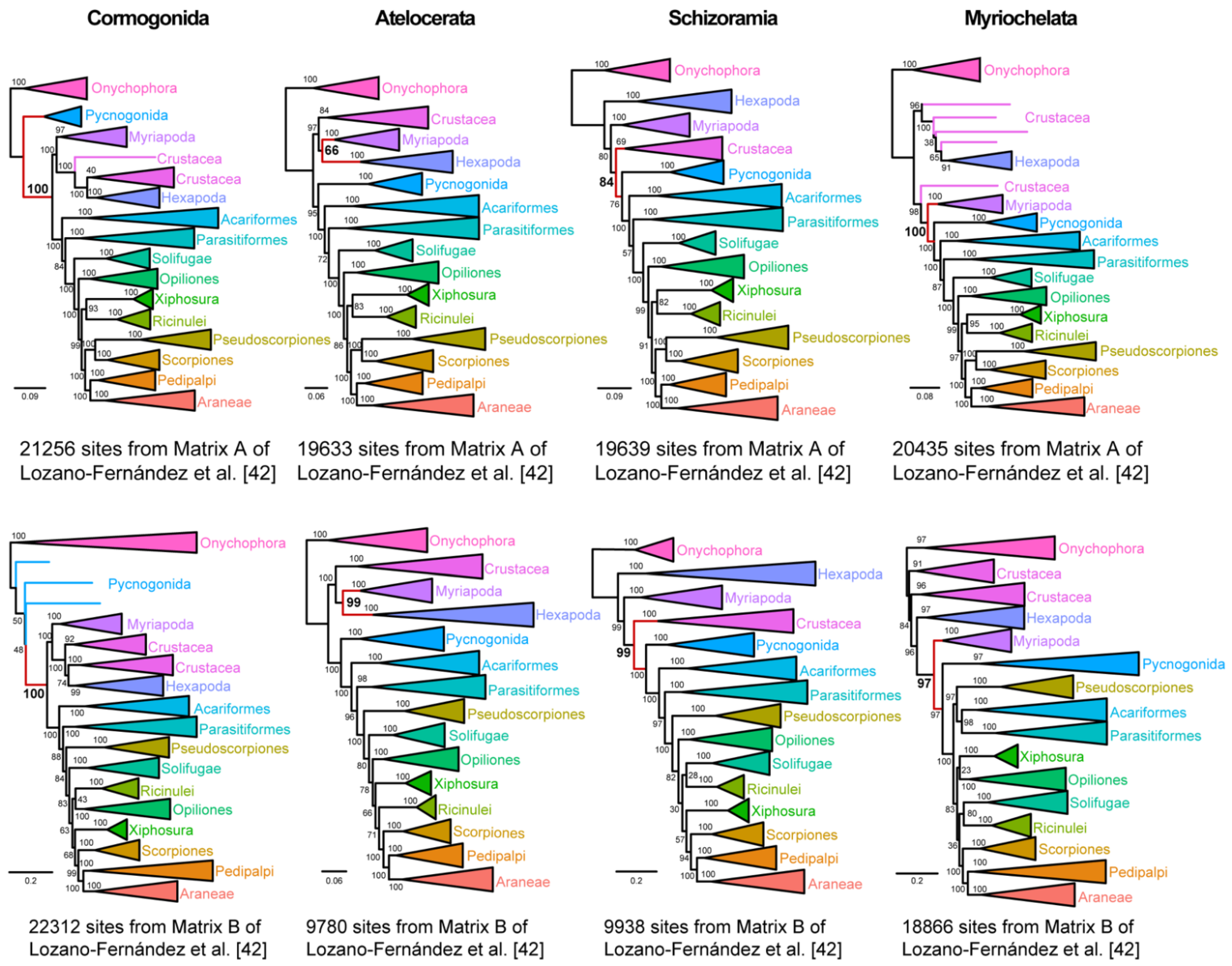 Diversity 13 00568 g003