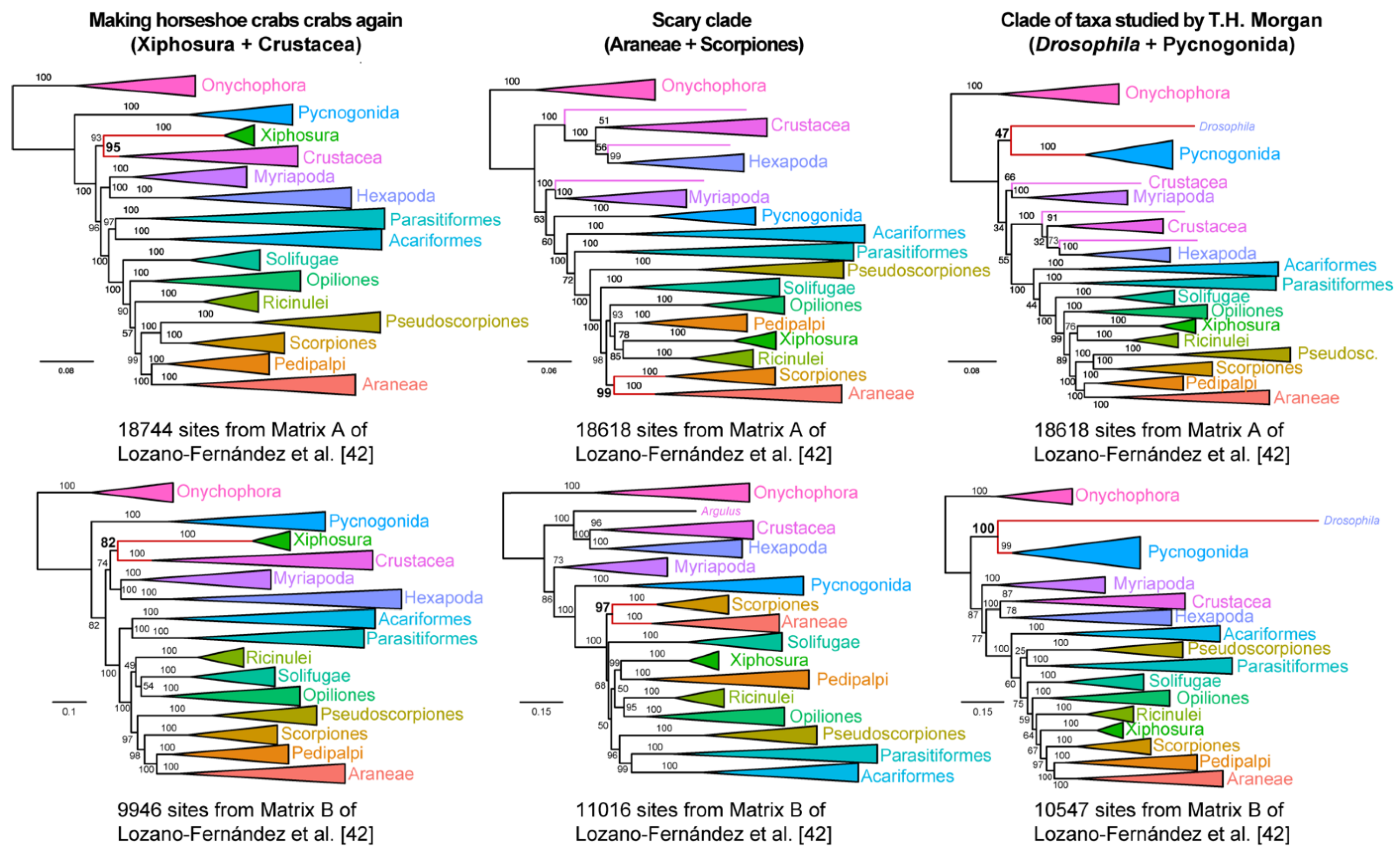 Diversity 13 00568 g004