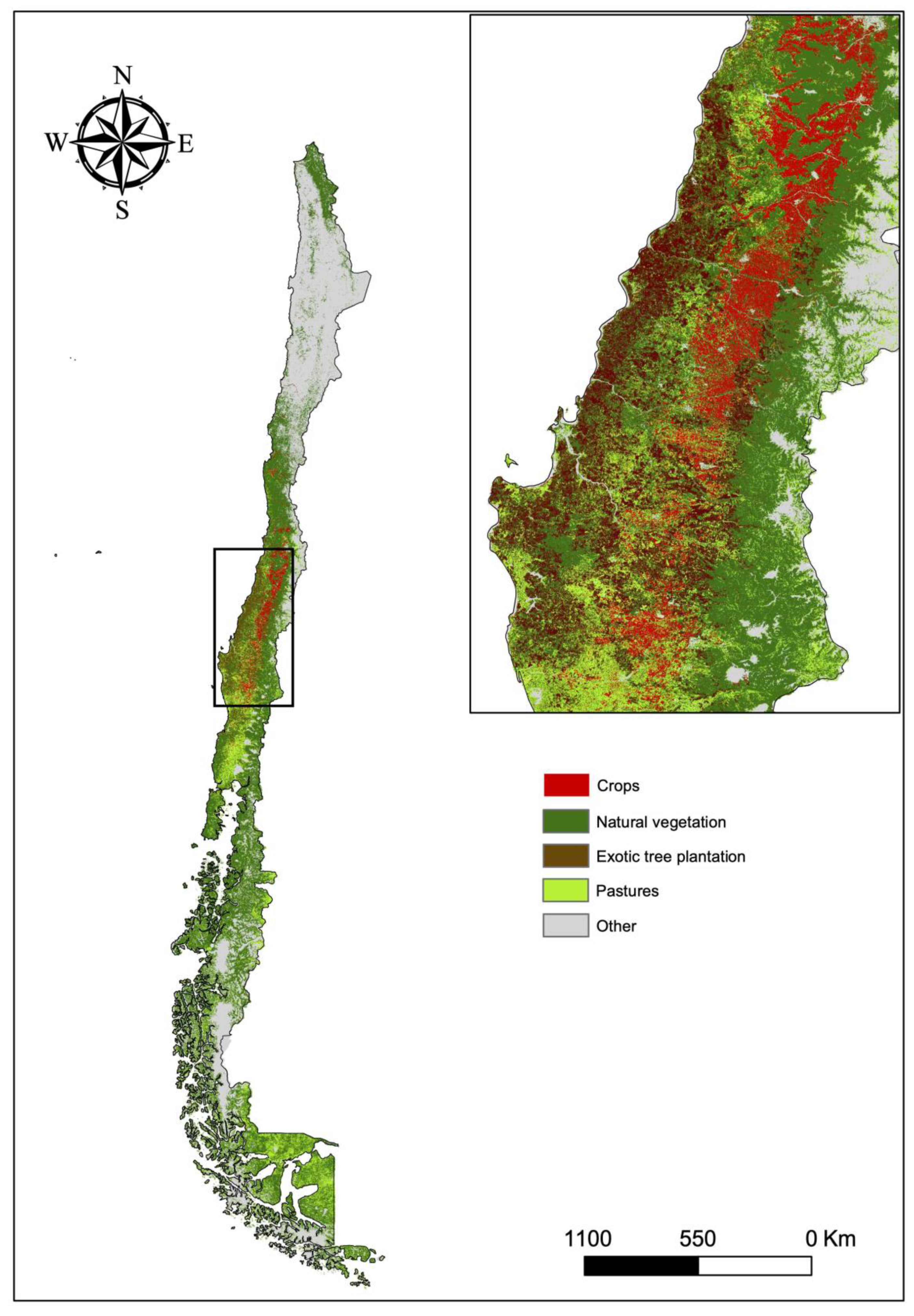 Diversity 13 00571 g004 Diversity 13 00571 g004