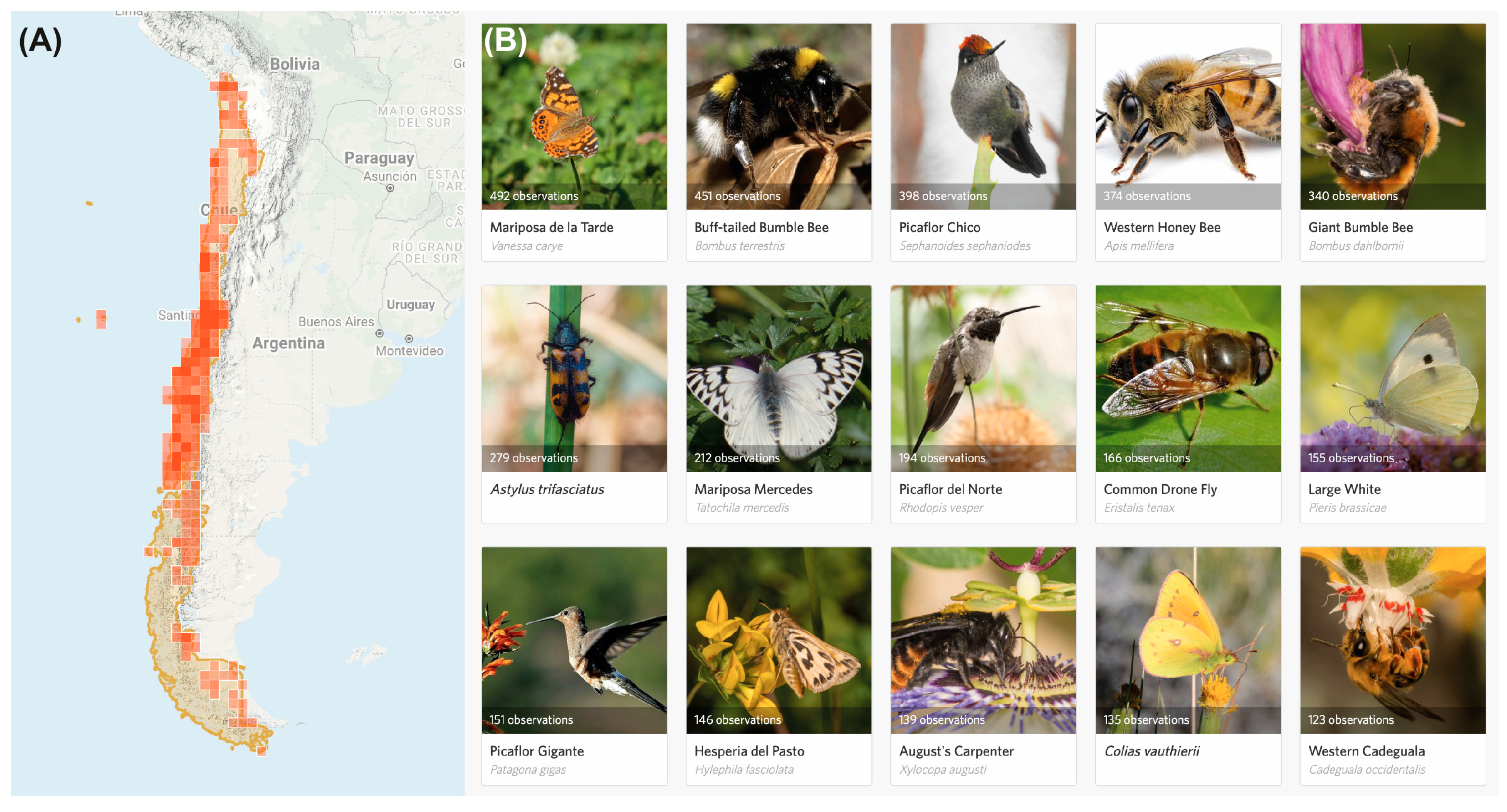 Diversity 13 00571 g005 Diversity 13 00571 g005