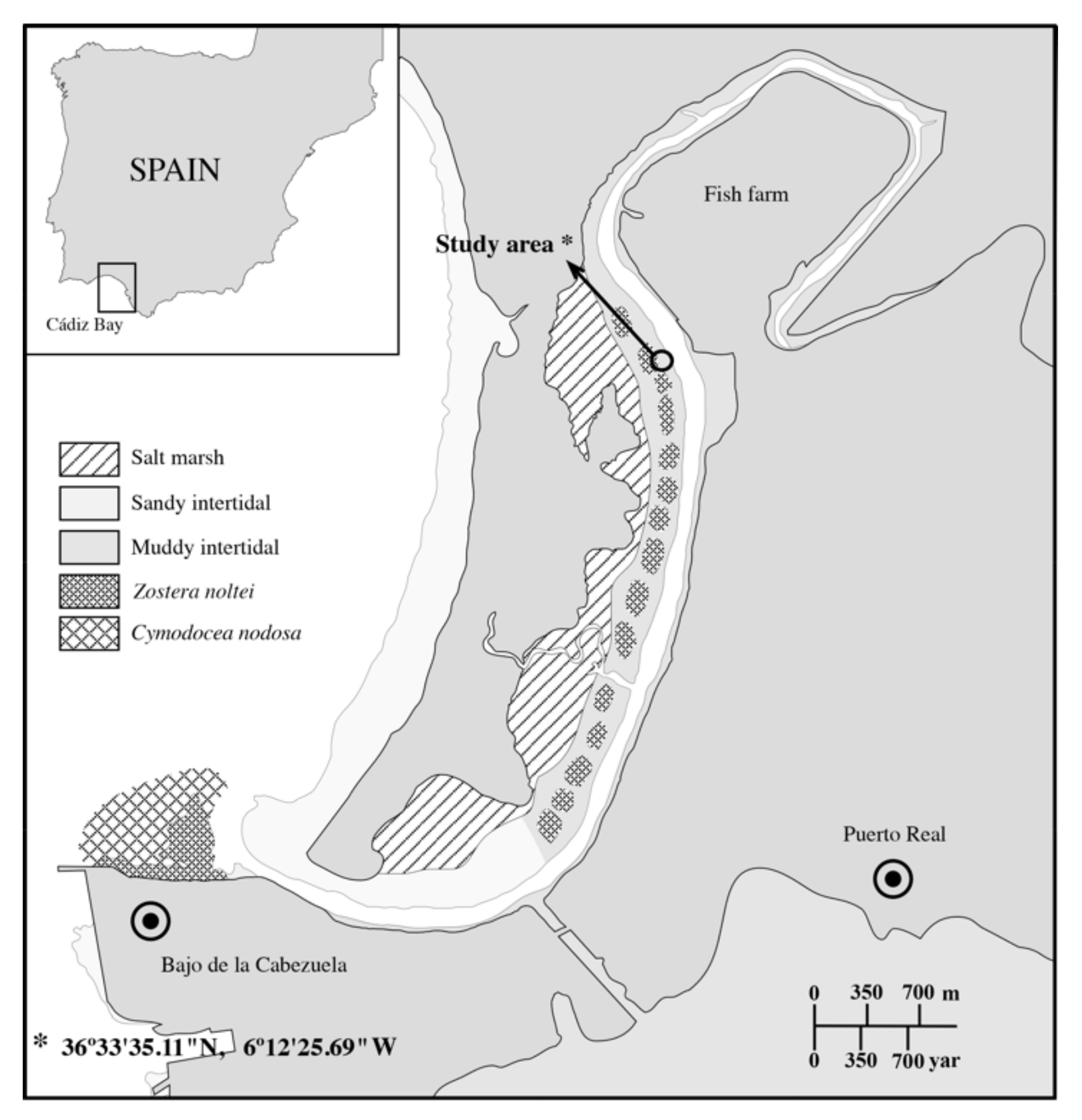 Diversity 13 00572 g001 Diversity 13 00572 g001