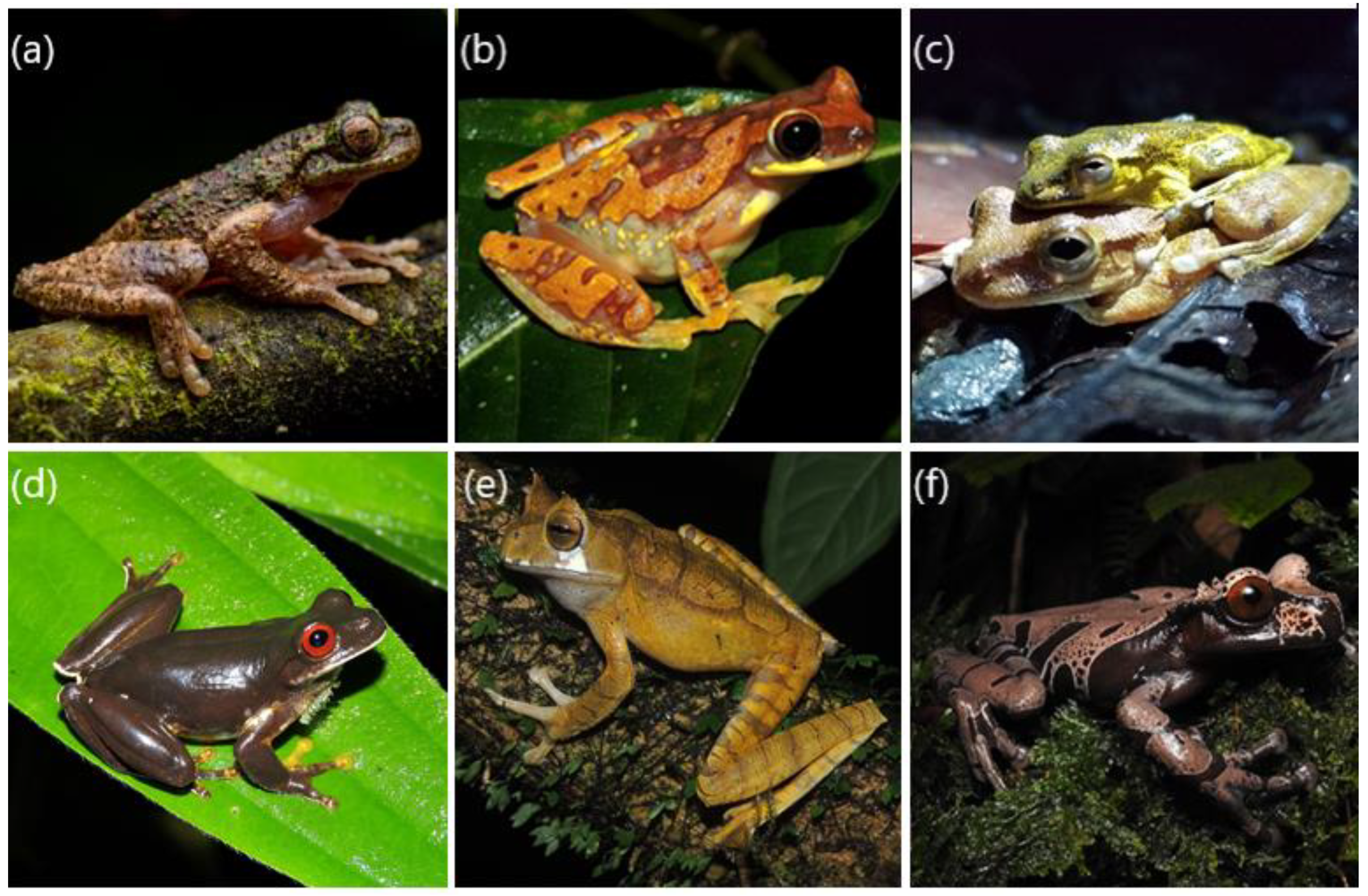 Diversity 13 00577 g006 Diversity 13 00577 g006