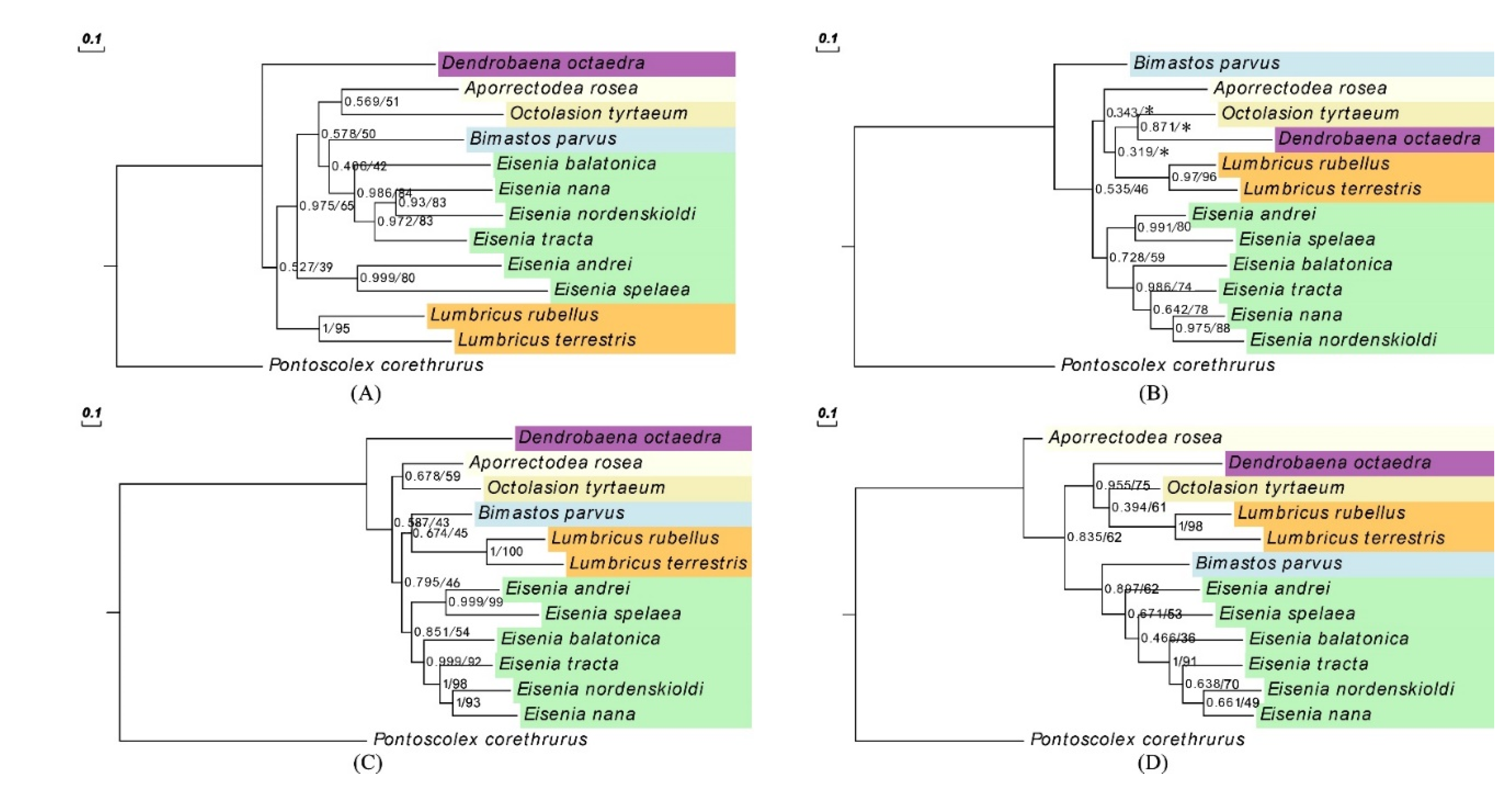 Diversity 13 00580 g003