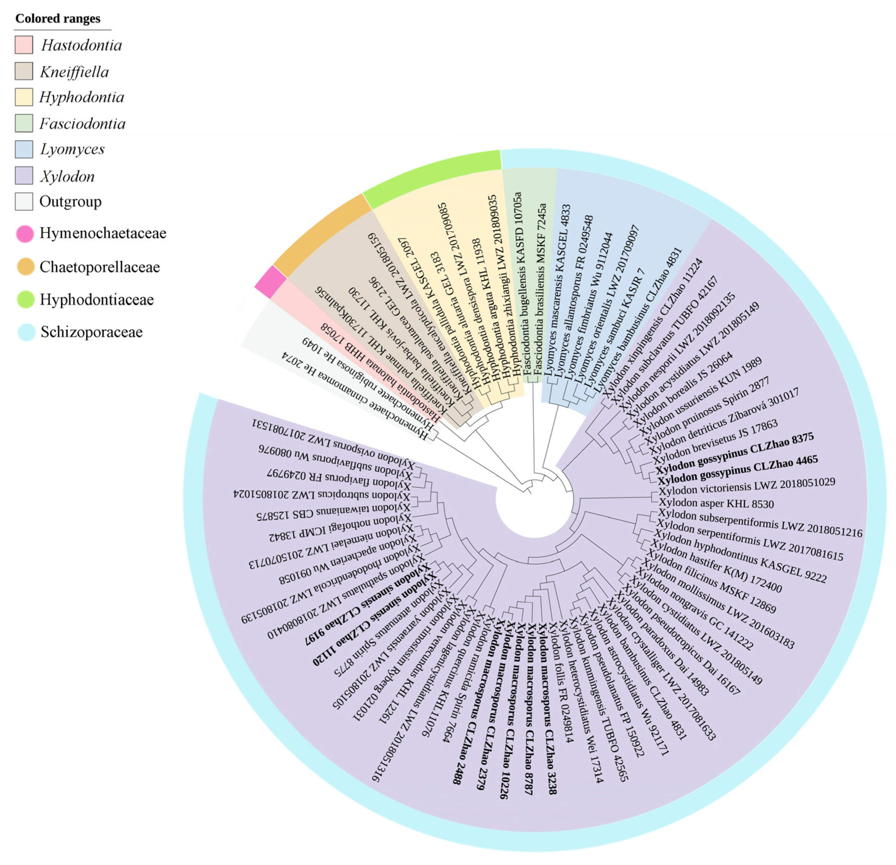 Diversity 13 00581 g001