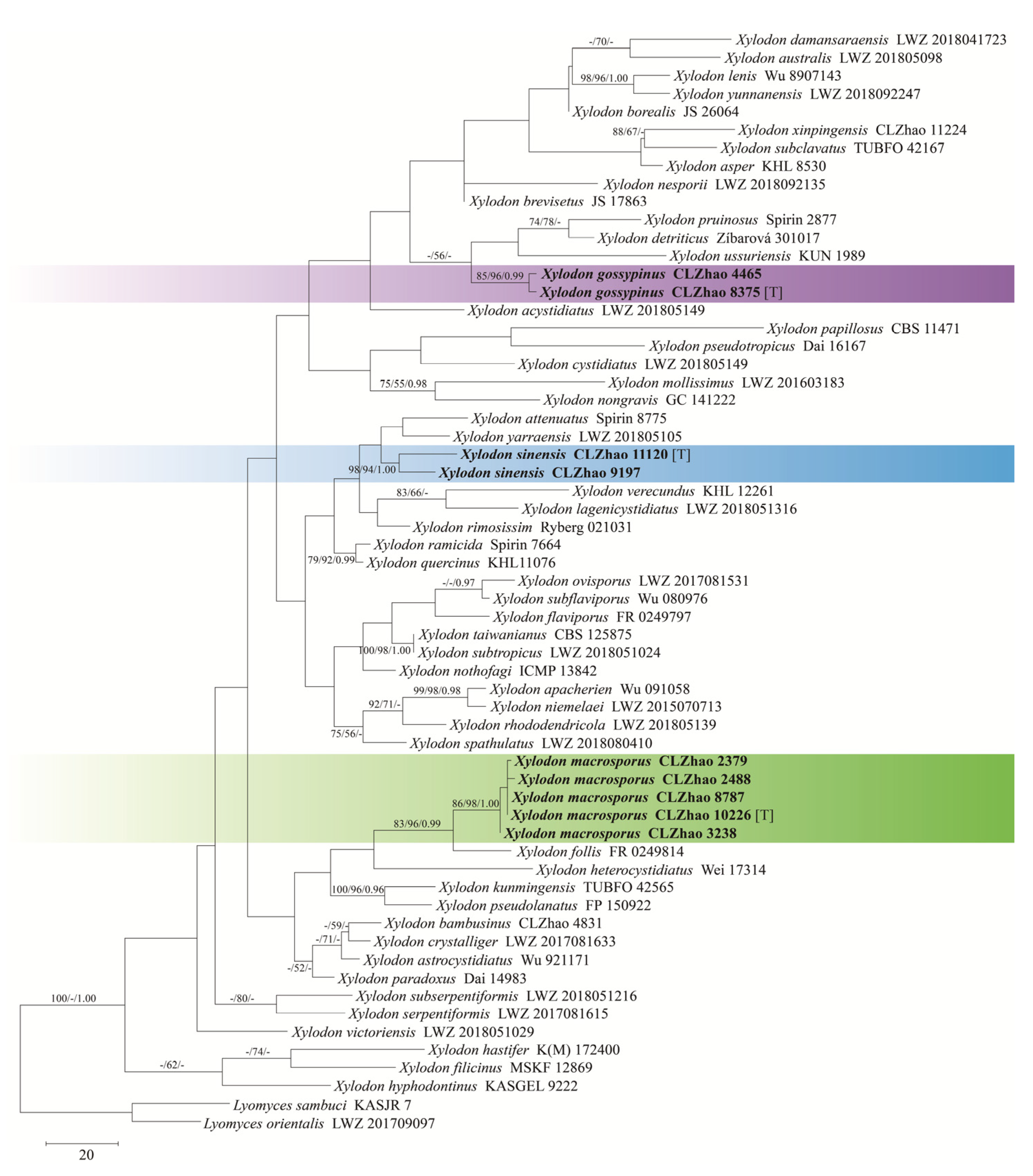 Diversity 13 00581 g002
