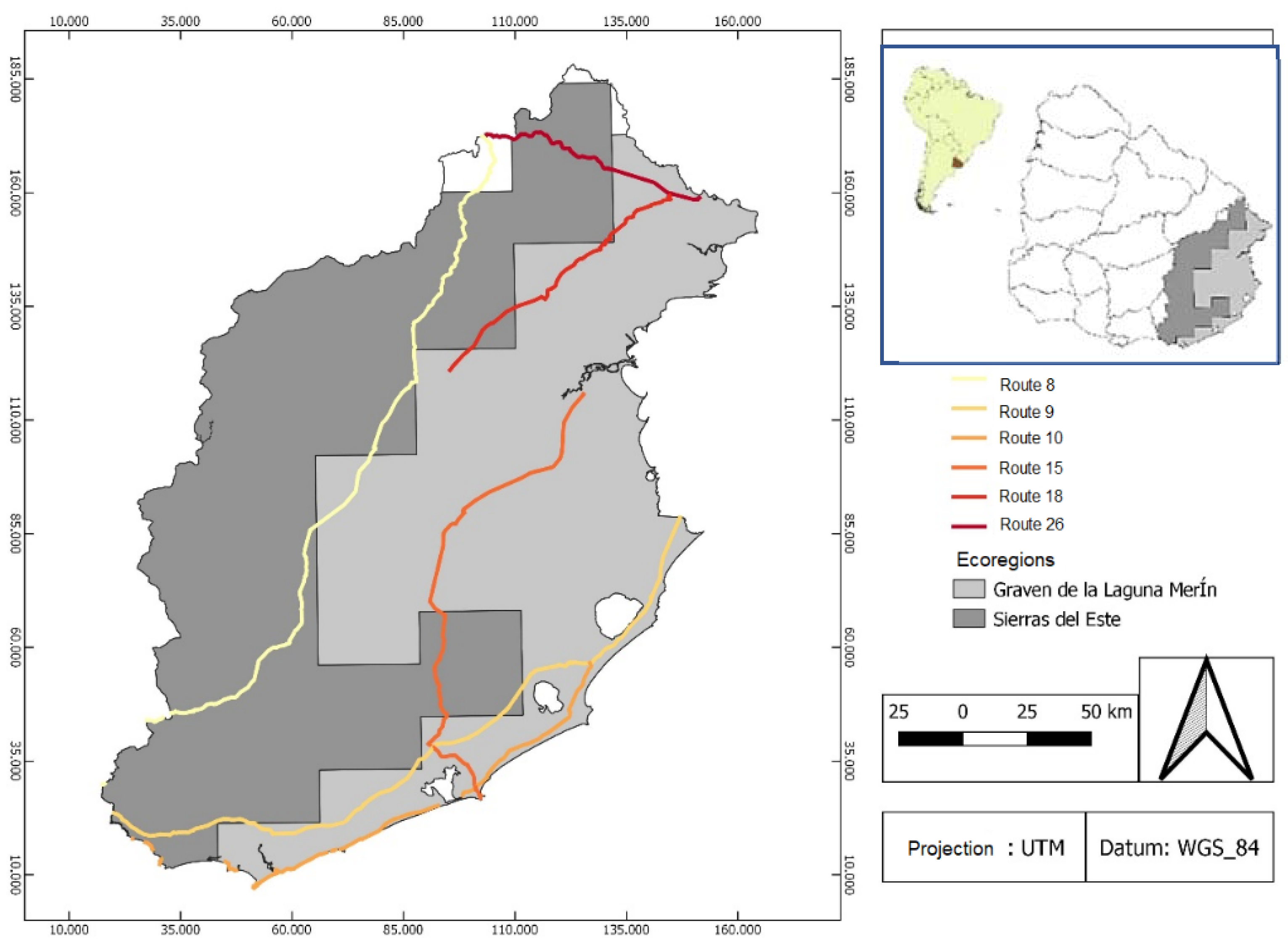 Diversity 13 00585 g001