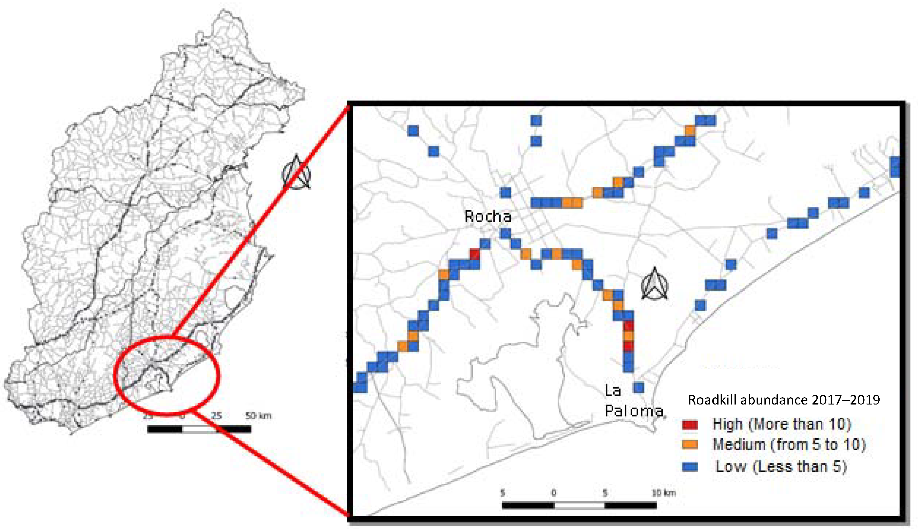 Diversity 13 00585 g006