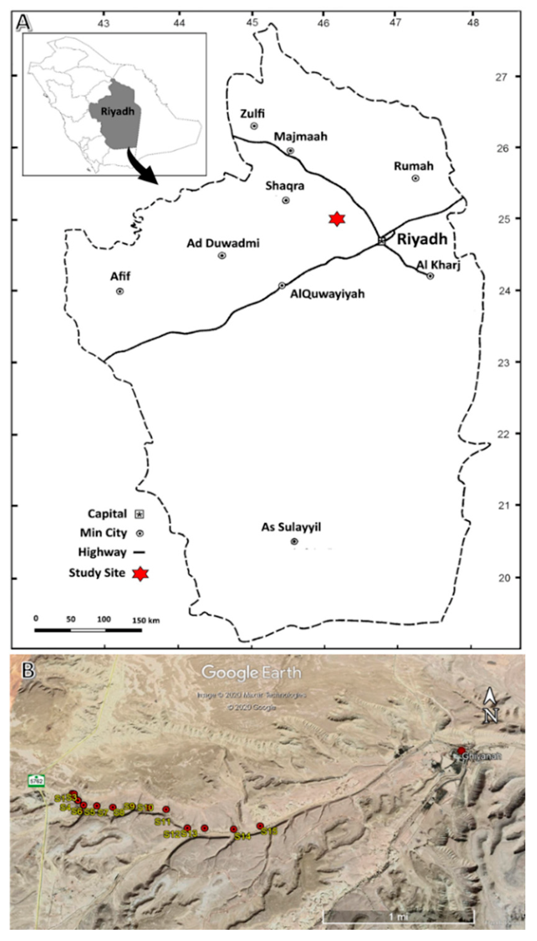 Diversity 13 00587 g001 Diversity 13 00587 g001