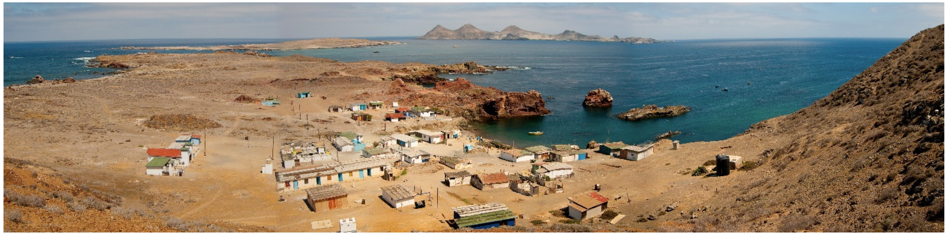 Diversity 13 00588 g002 550