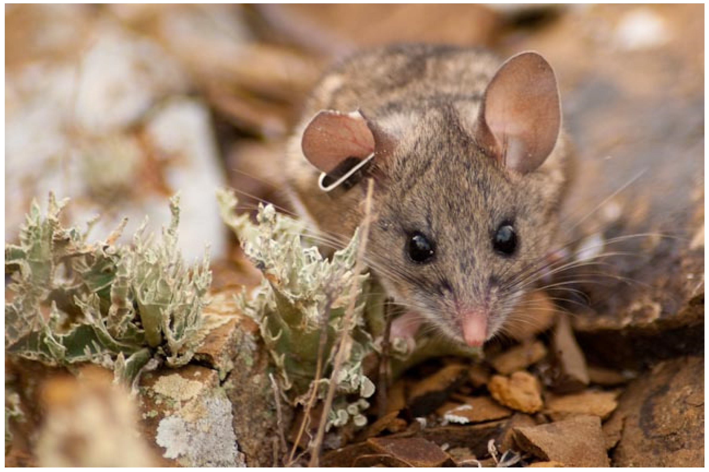 Diversity 13 00588 g003 550