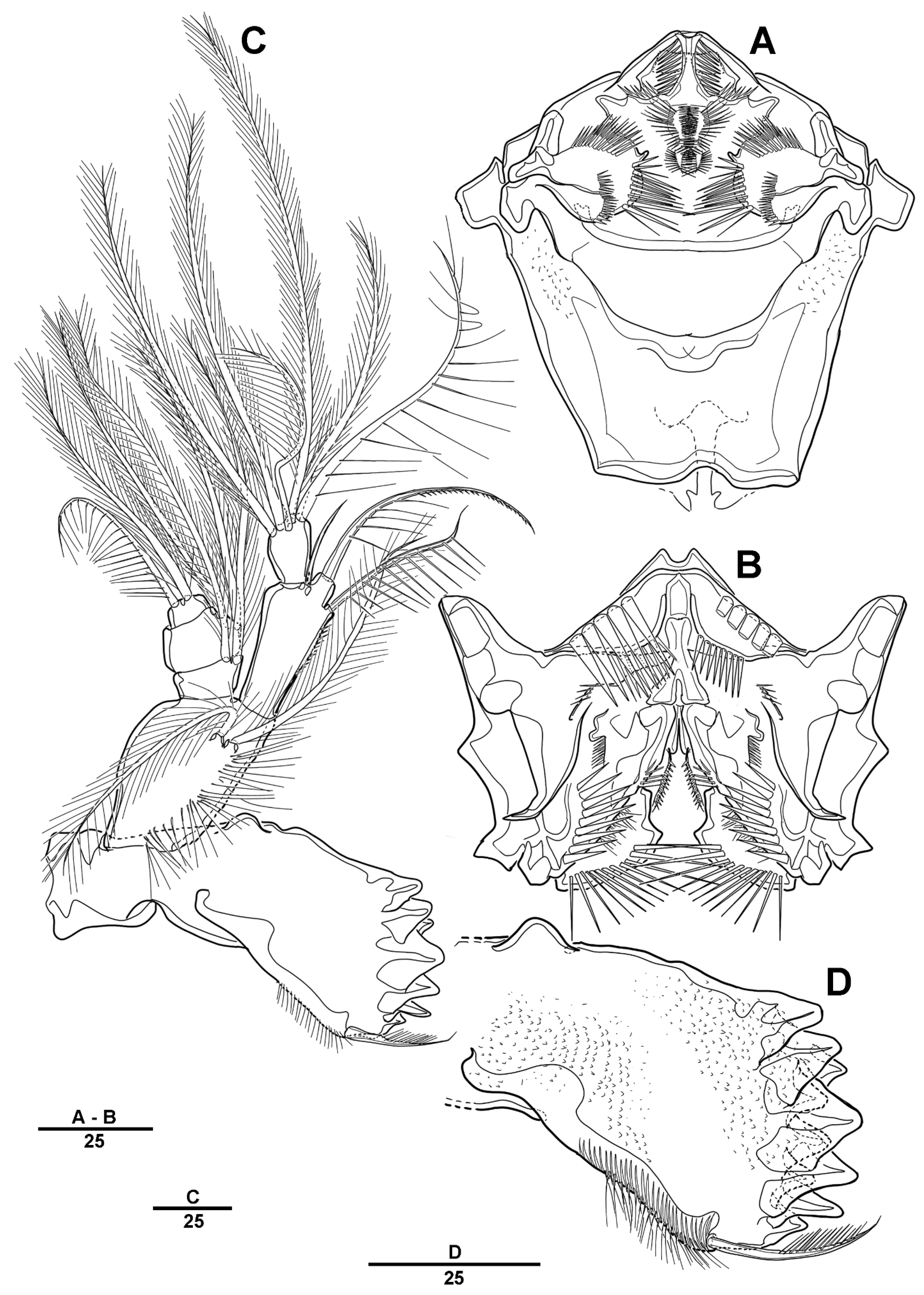 Diversity 13 00590 g012 Diversity 13 00590 g012