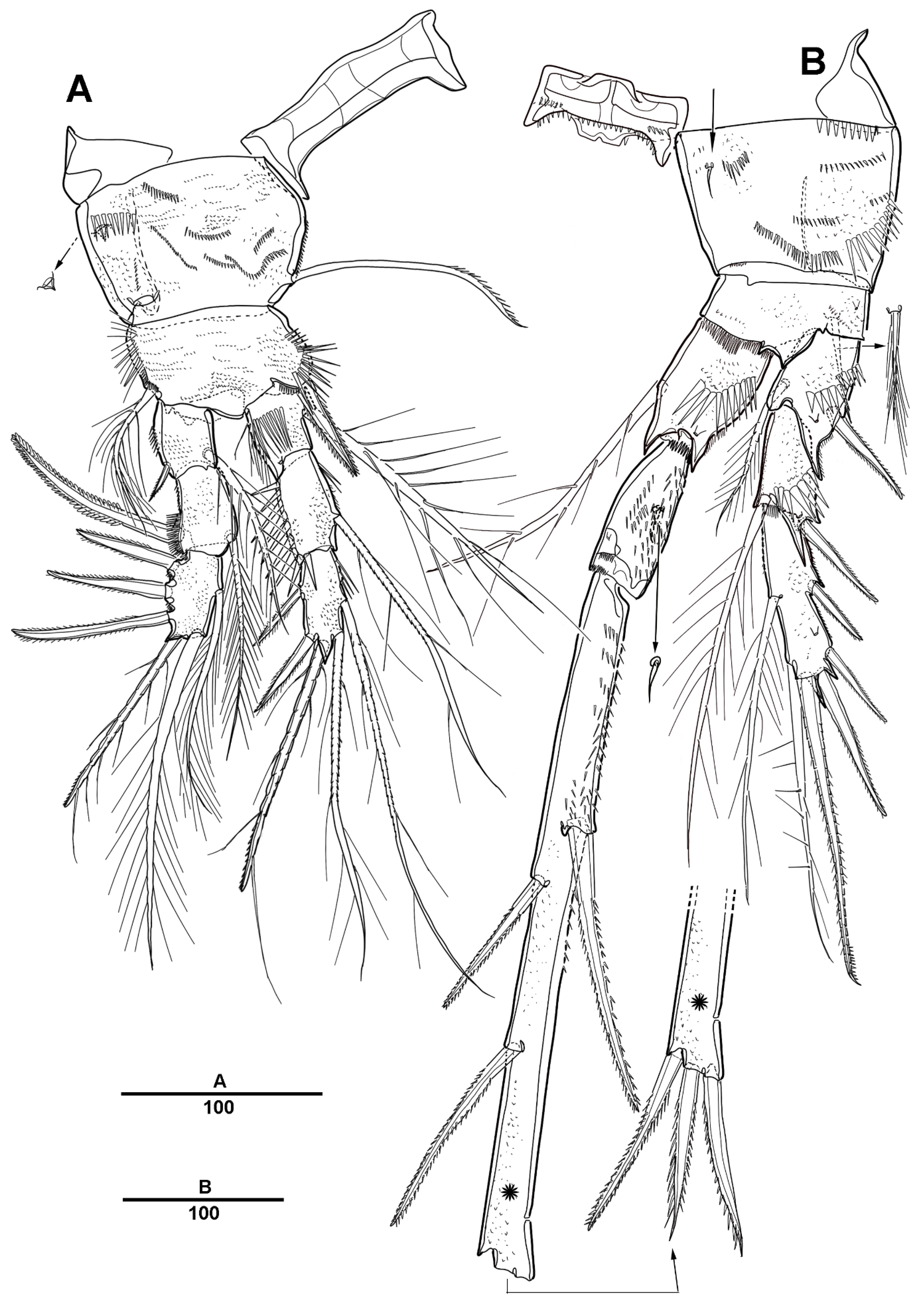 Diversity 13 00590 g014 Diversity 13 00590 g014