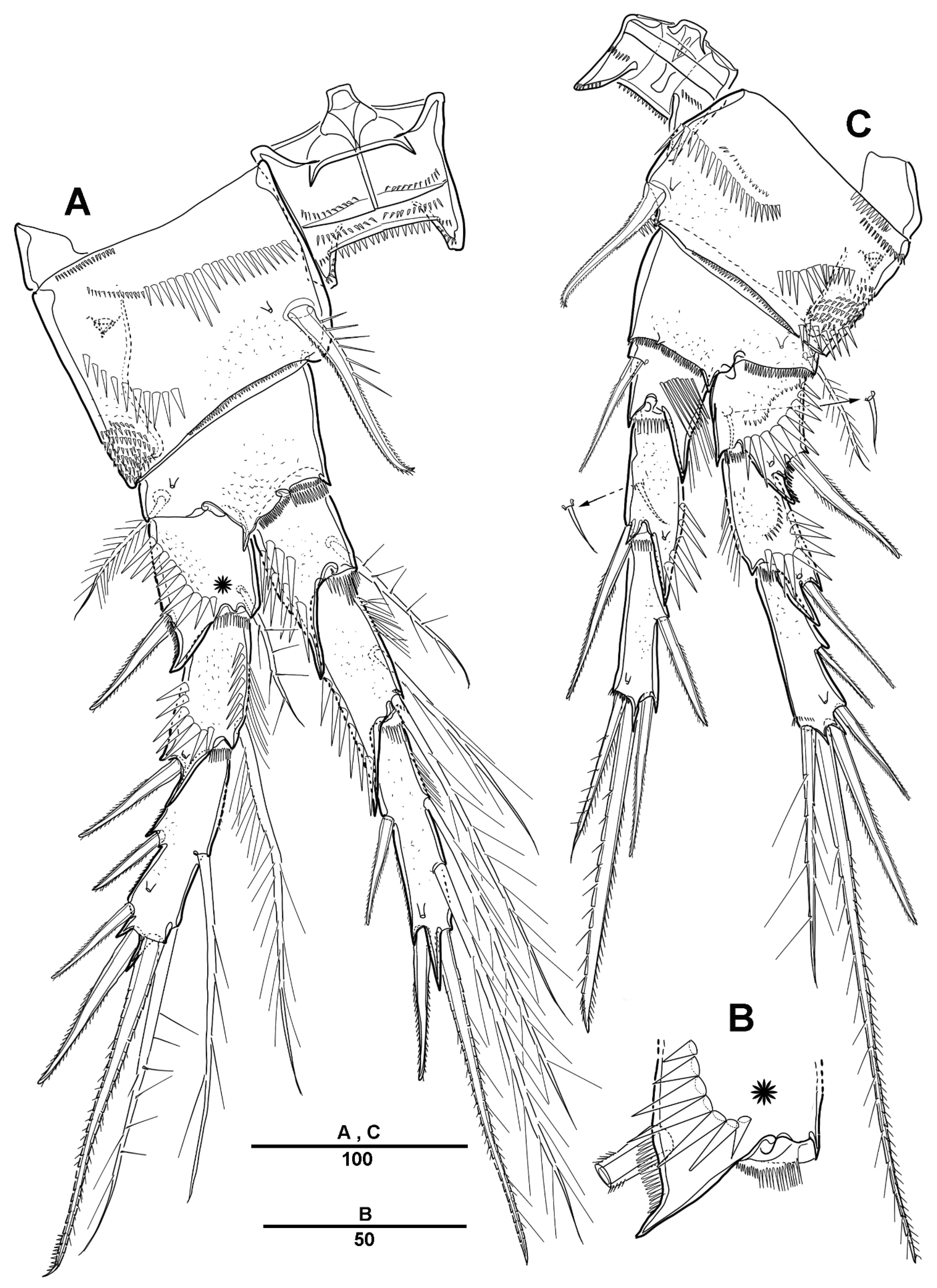 Diversity 13 00590 g015 Diversity 13 00590 g015