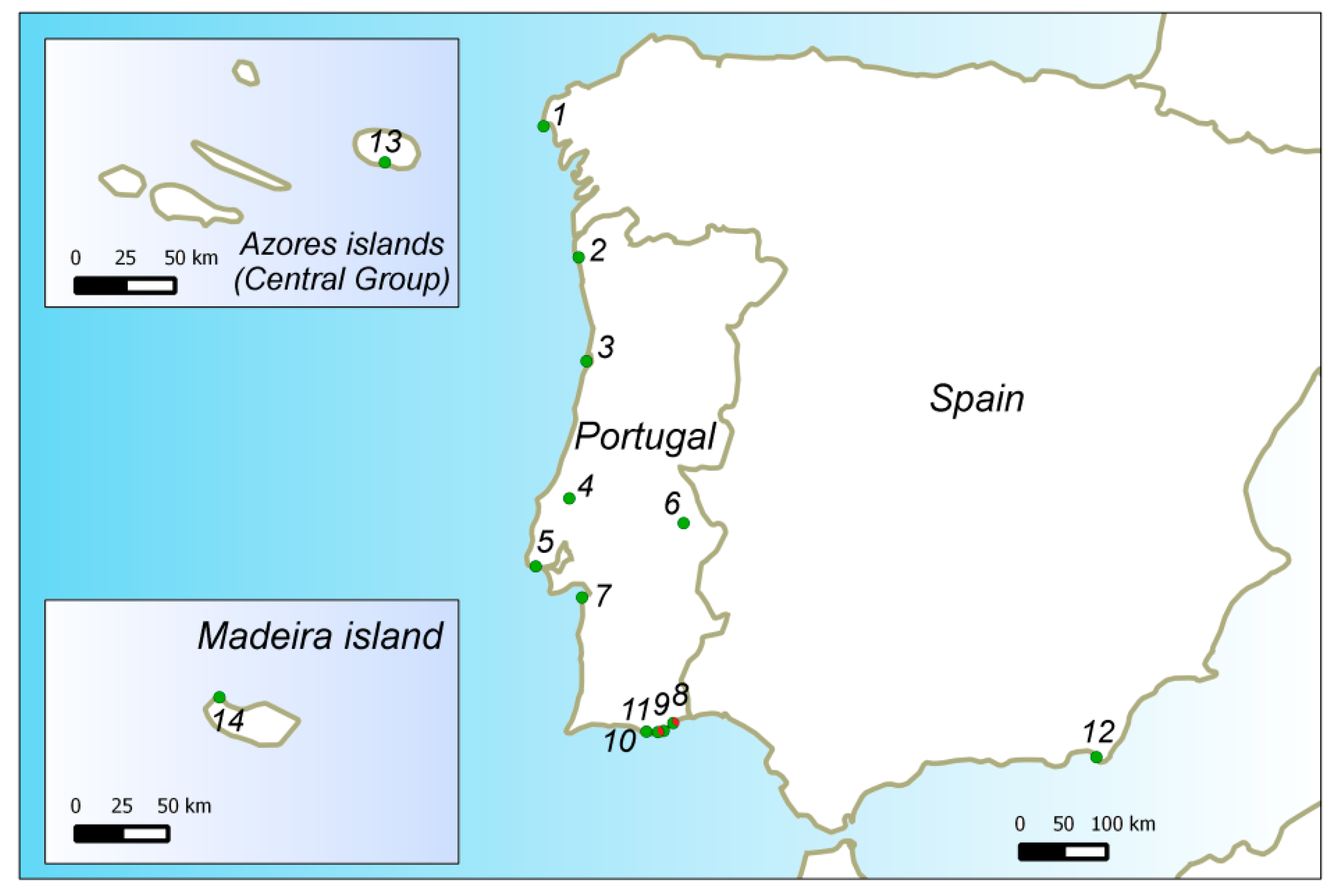 Diversity 13 00593 g001 550