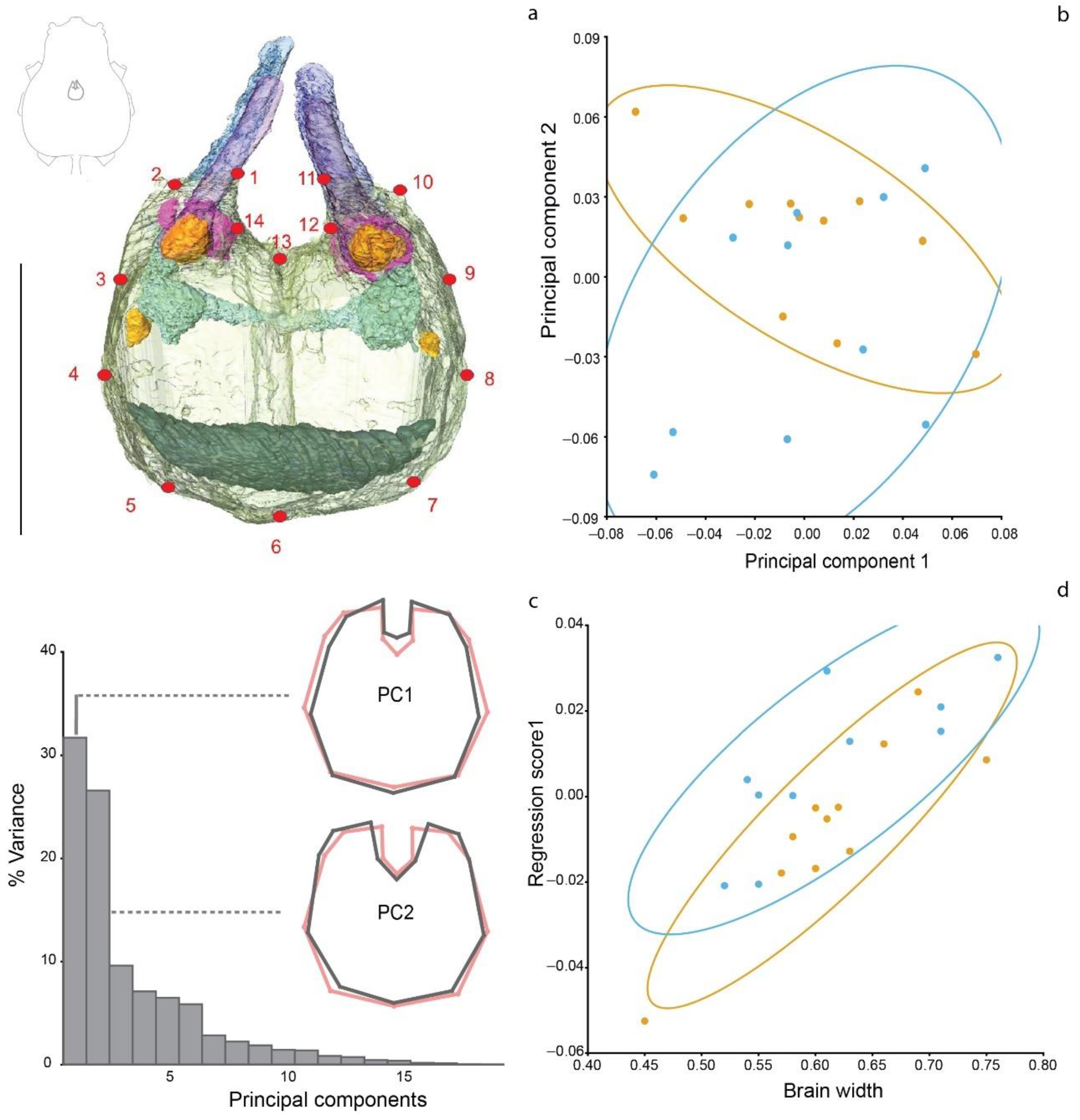 Diversity 13 00601 g002
