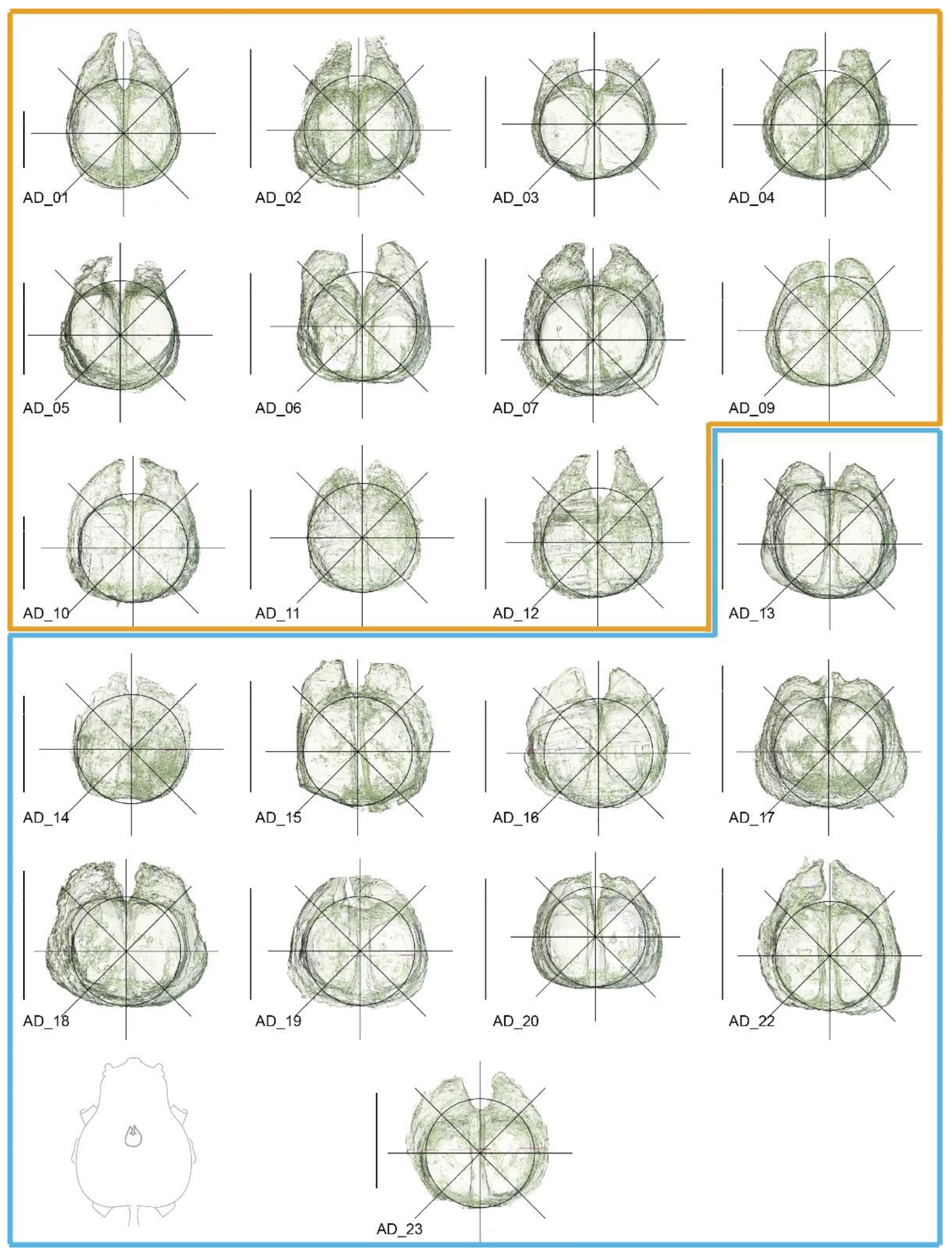 Diversity 13 00601 g0a1