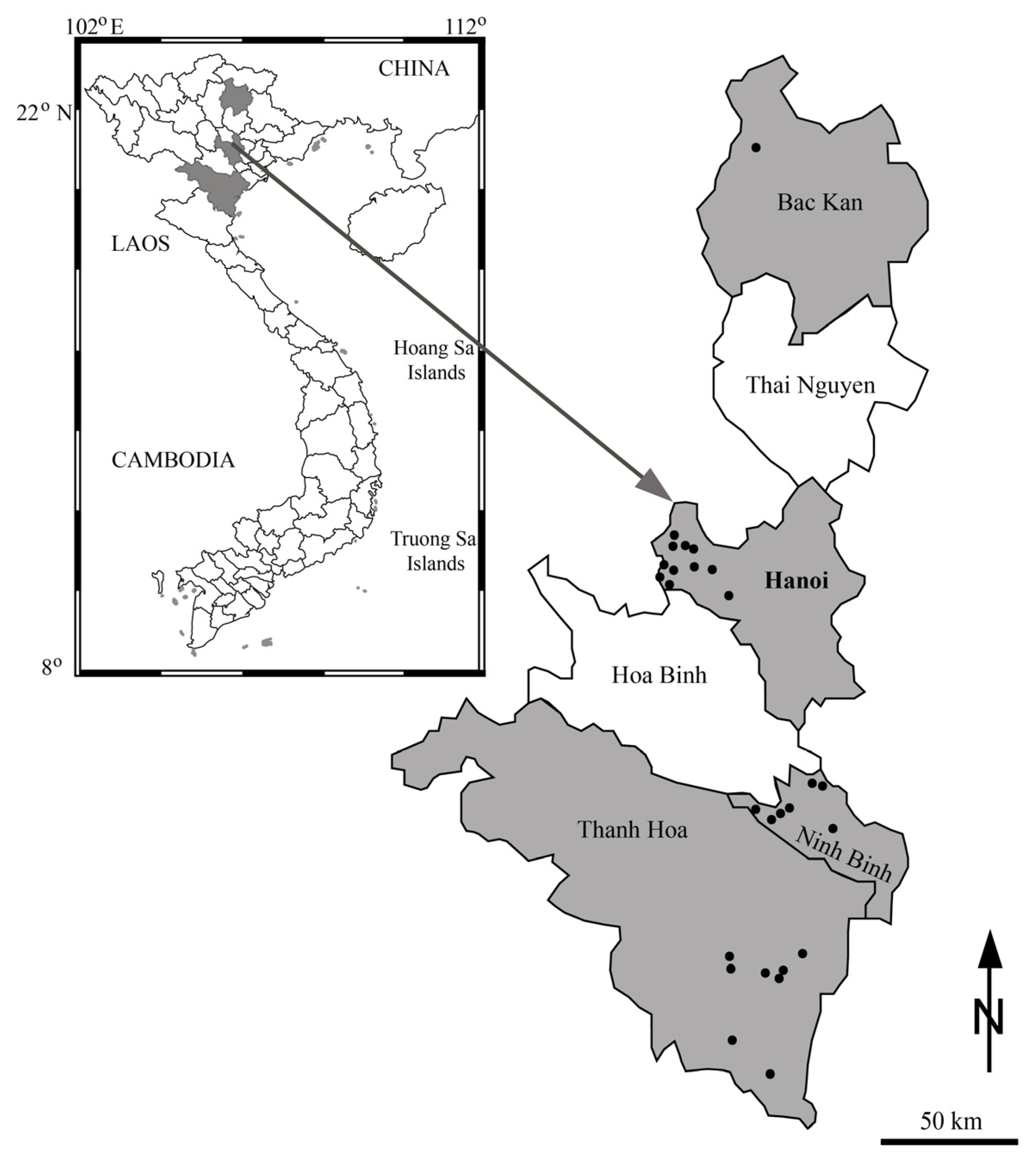 Diversity 13 00602 g001