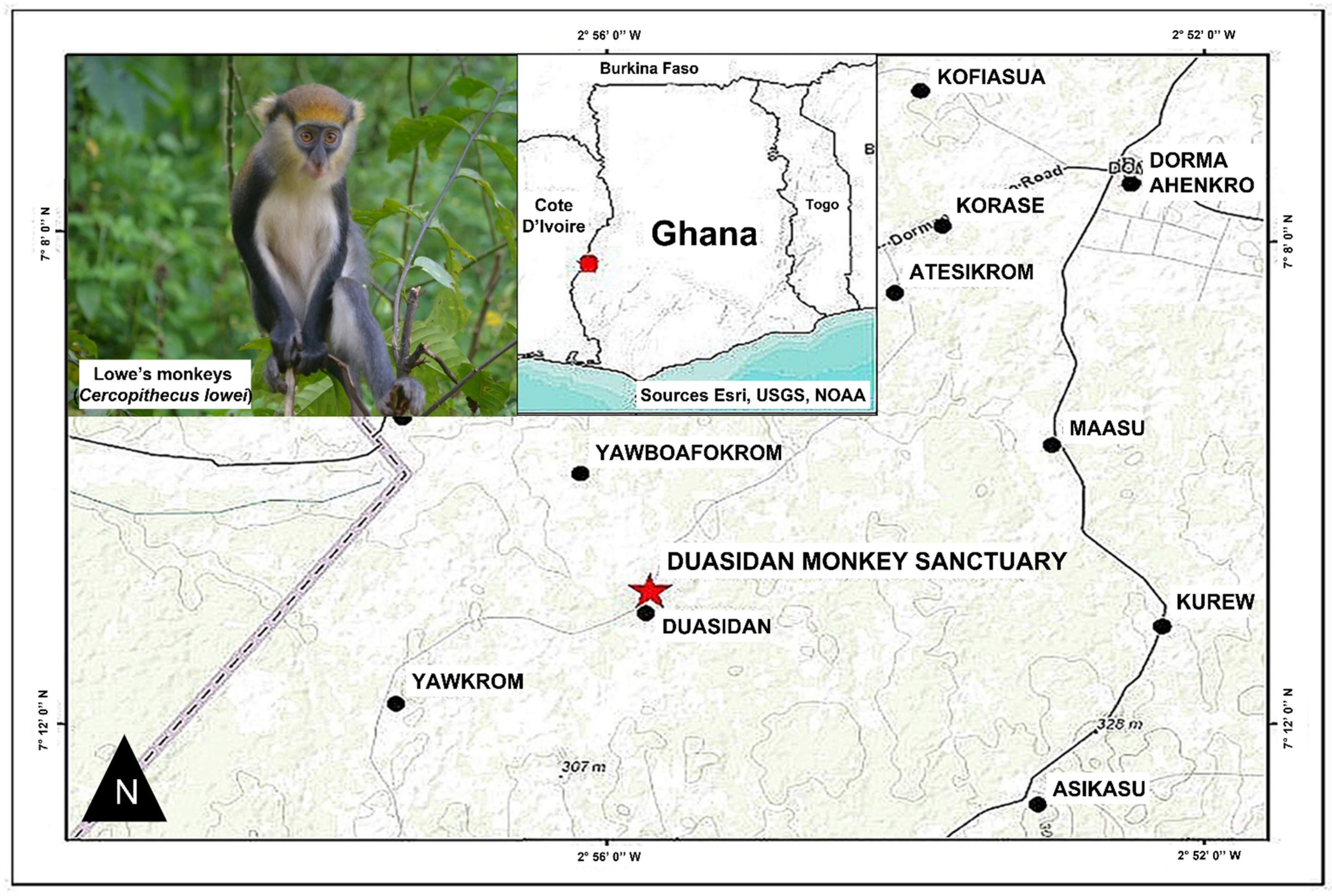 Monkeys in the City: The Urban Wildlife Syndrome and the